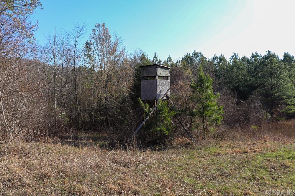 0000 Union Hill  Pleasant Plains, AR