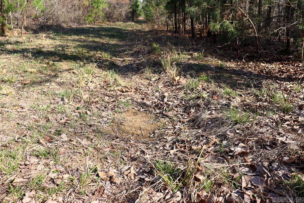 0000 Union Hill  Pleasant Plains, AR