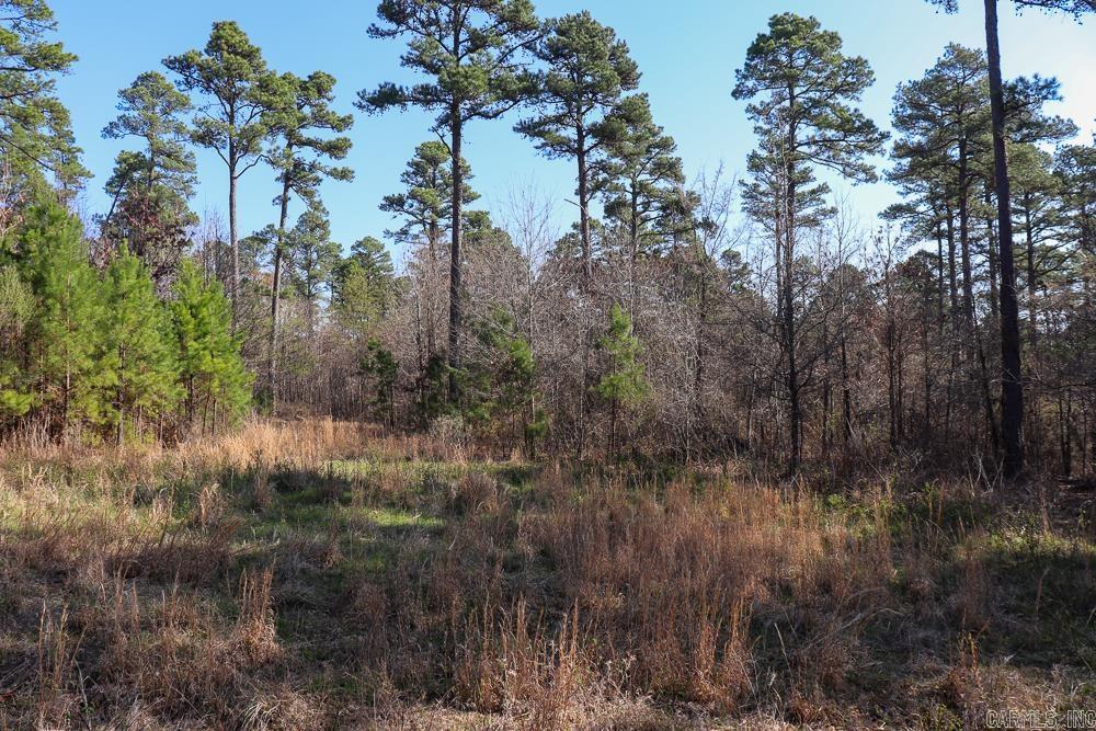 0000 Union Hill  Pleasant Plains, AR