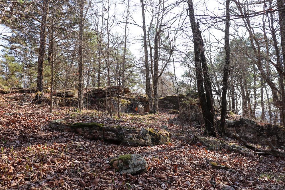 0000 Union Hill  Pleasant Plains, AR