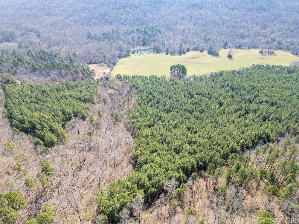 0000 Union Hill  Pleasant Plains, AR