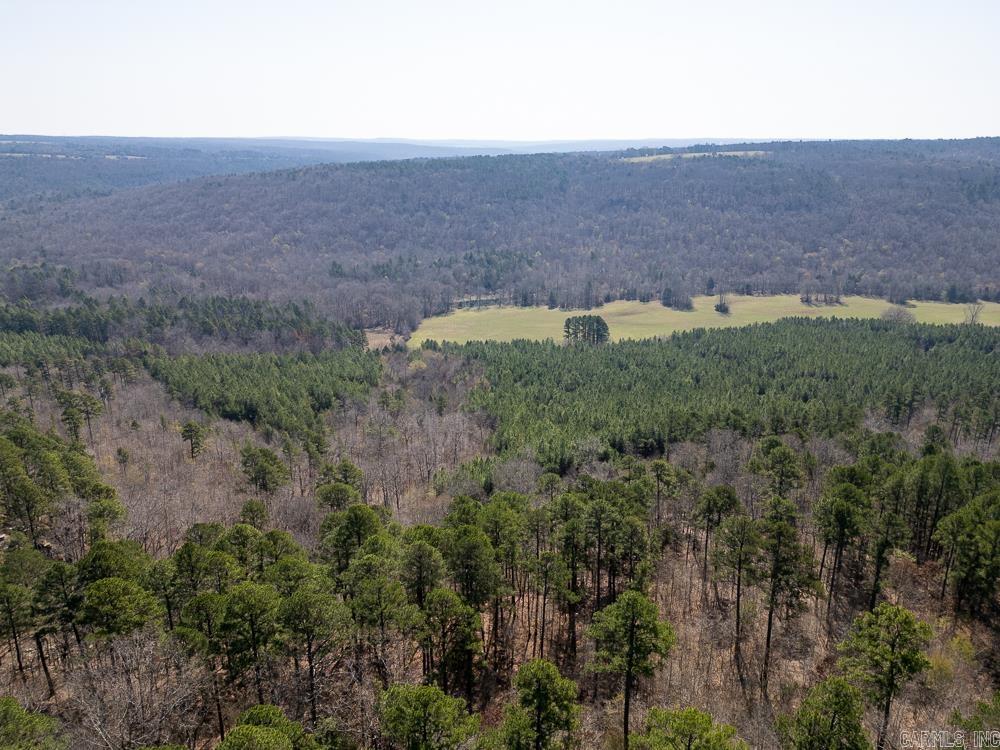 0000 Union Hill  Pleasant Plains, AR