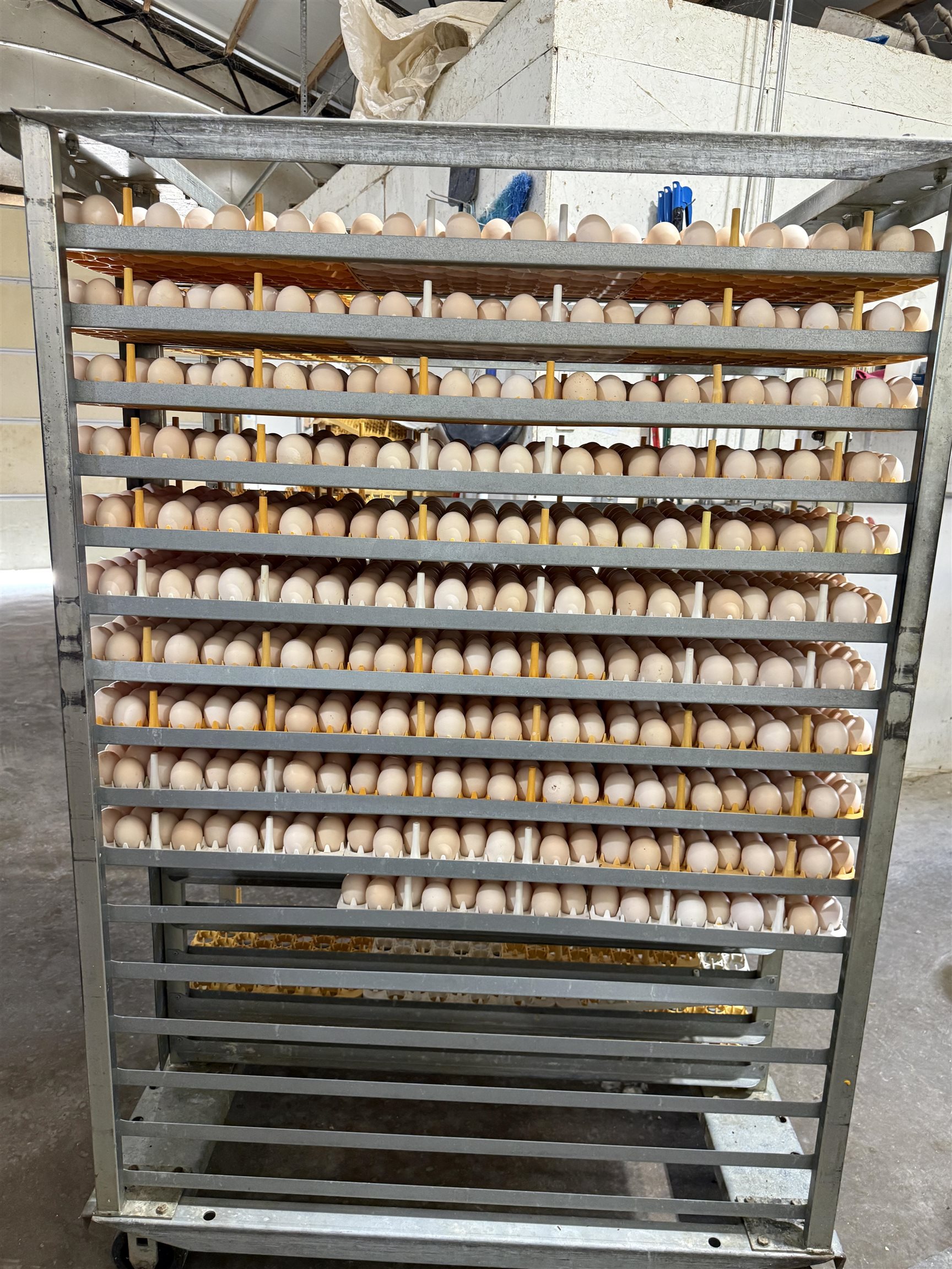 395 Lee  Evening Shade, AR