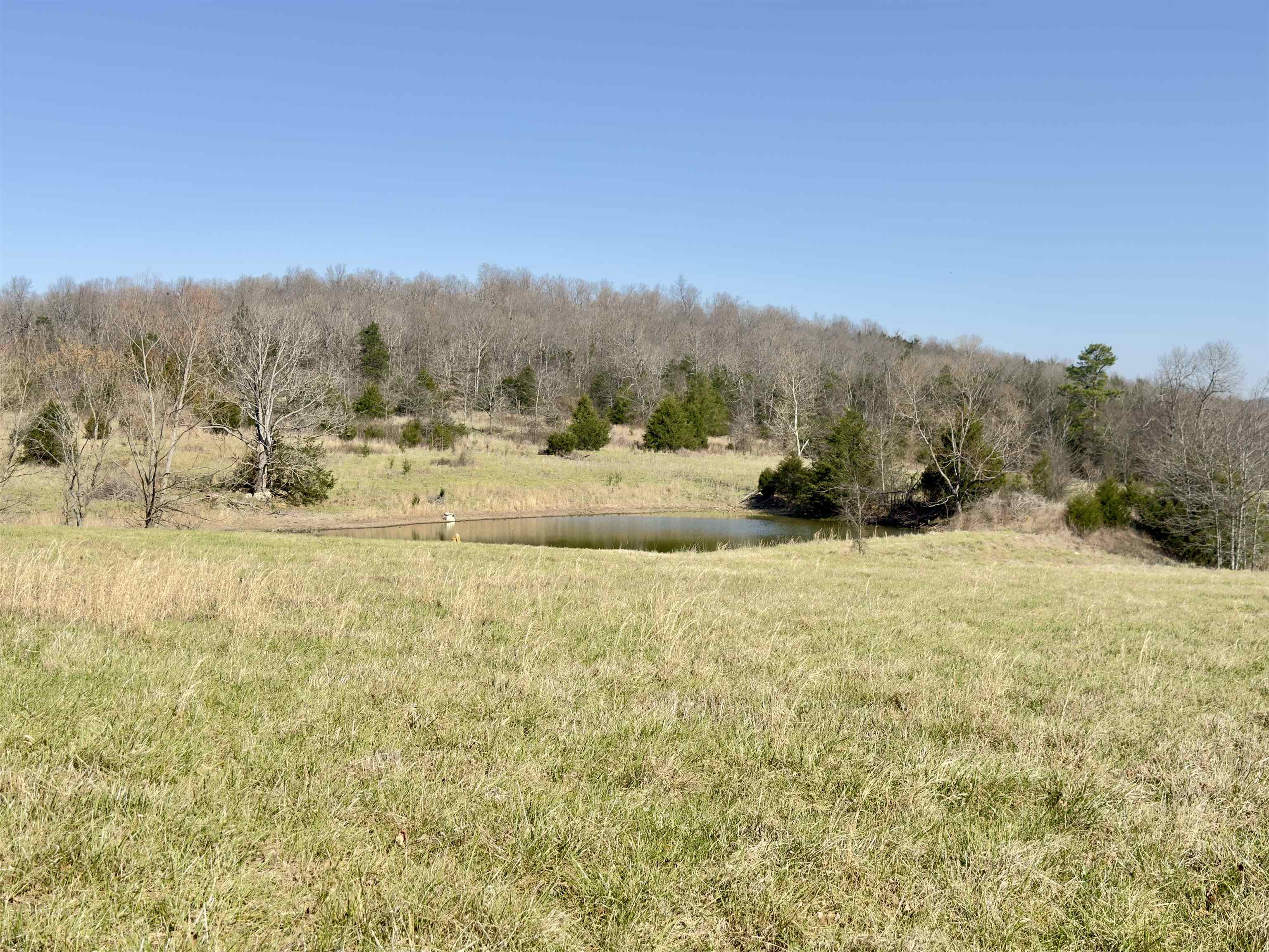 395 Lee  Evening Shade, AR