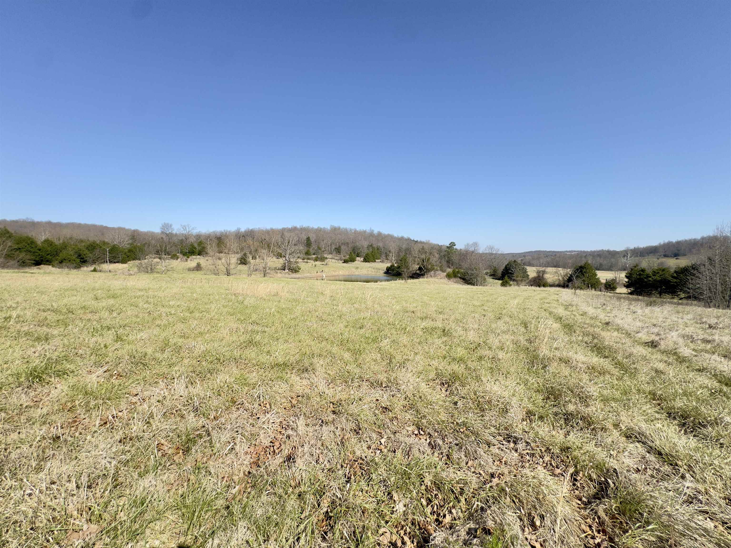 395 Lee  Evening Shade, AR