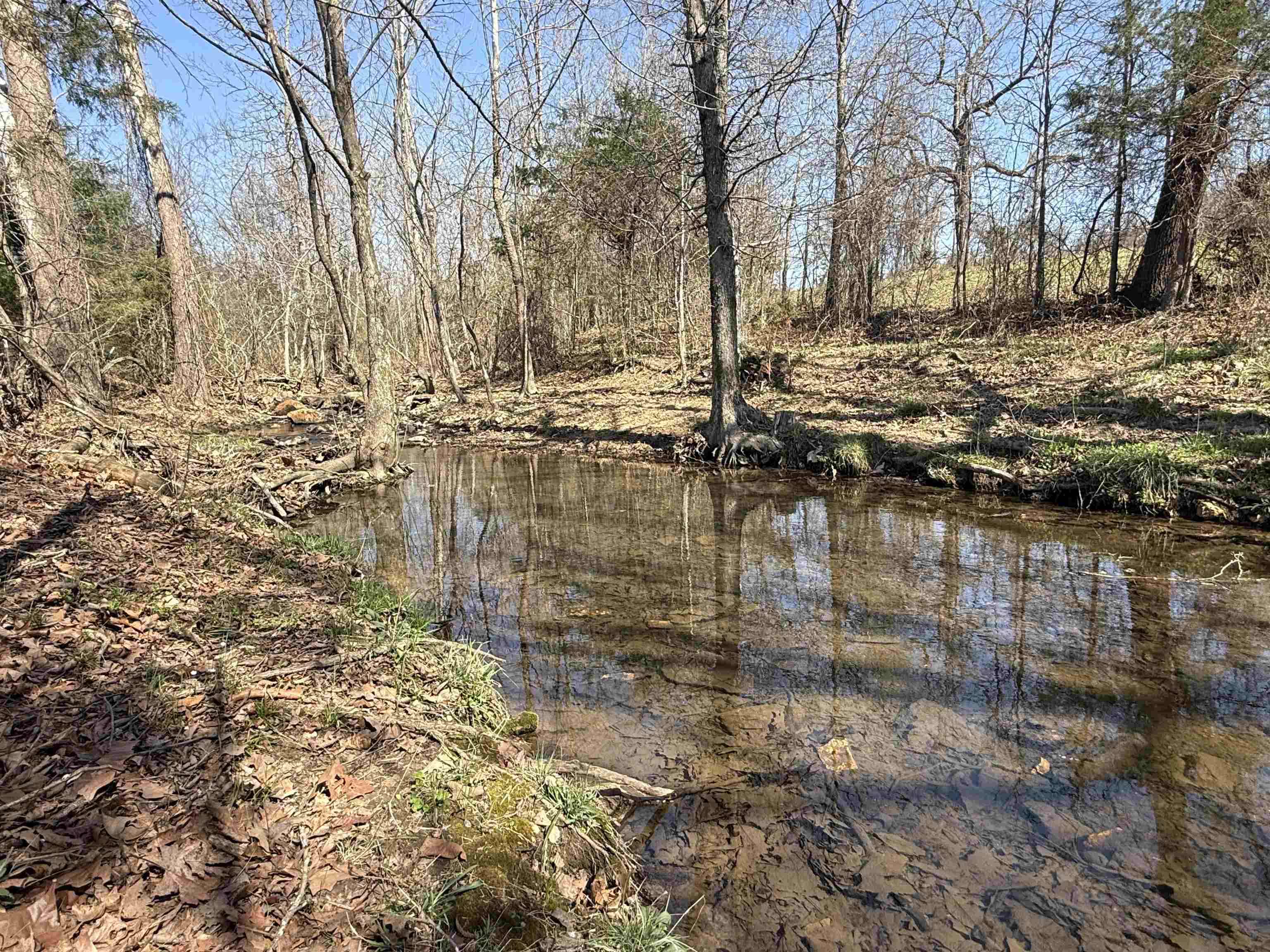 395 Lee  Evening Shade, AR