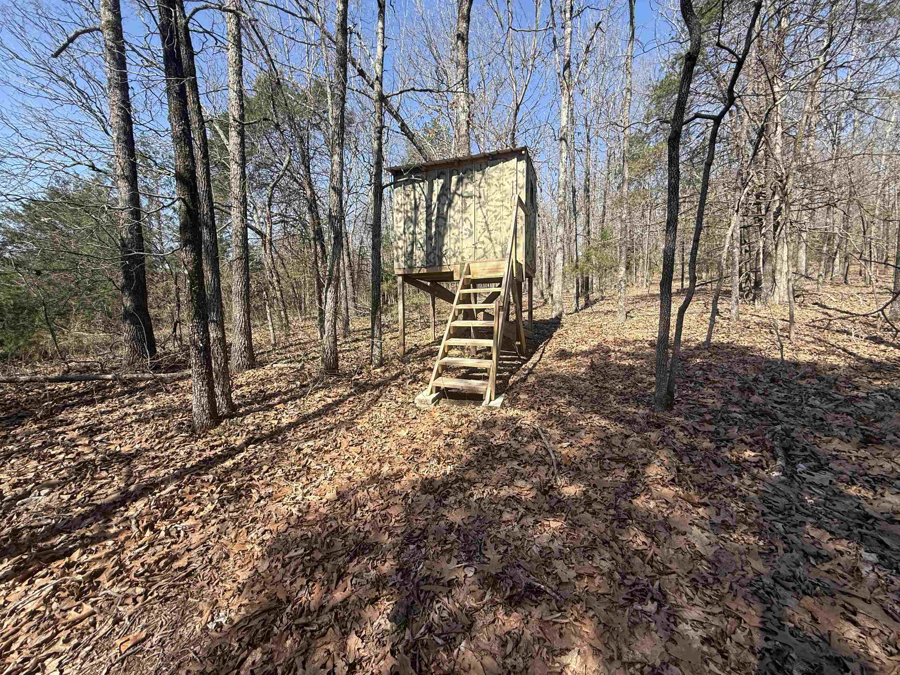 395 Lee  Evening Shade, AR