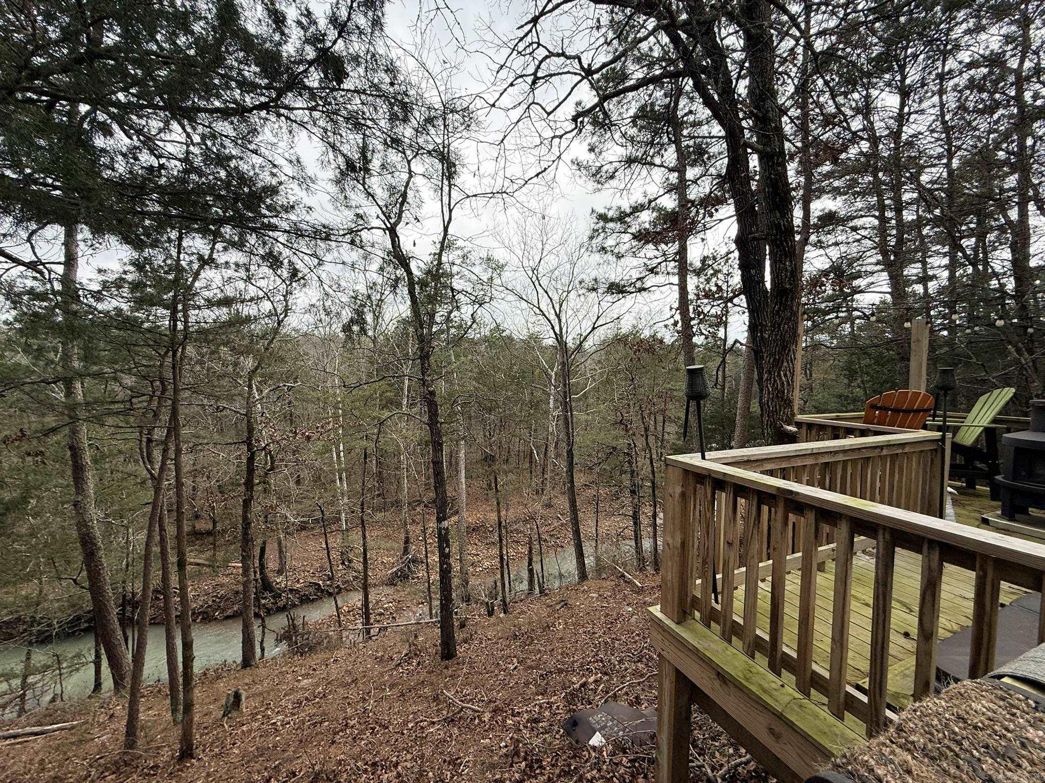 121 Neva Lane  Pine Ridge, AR