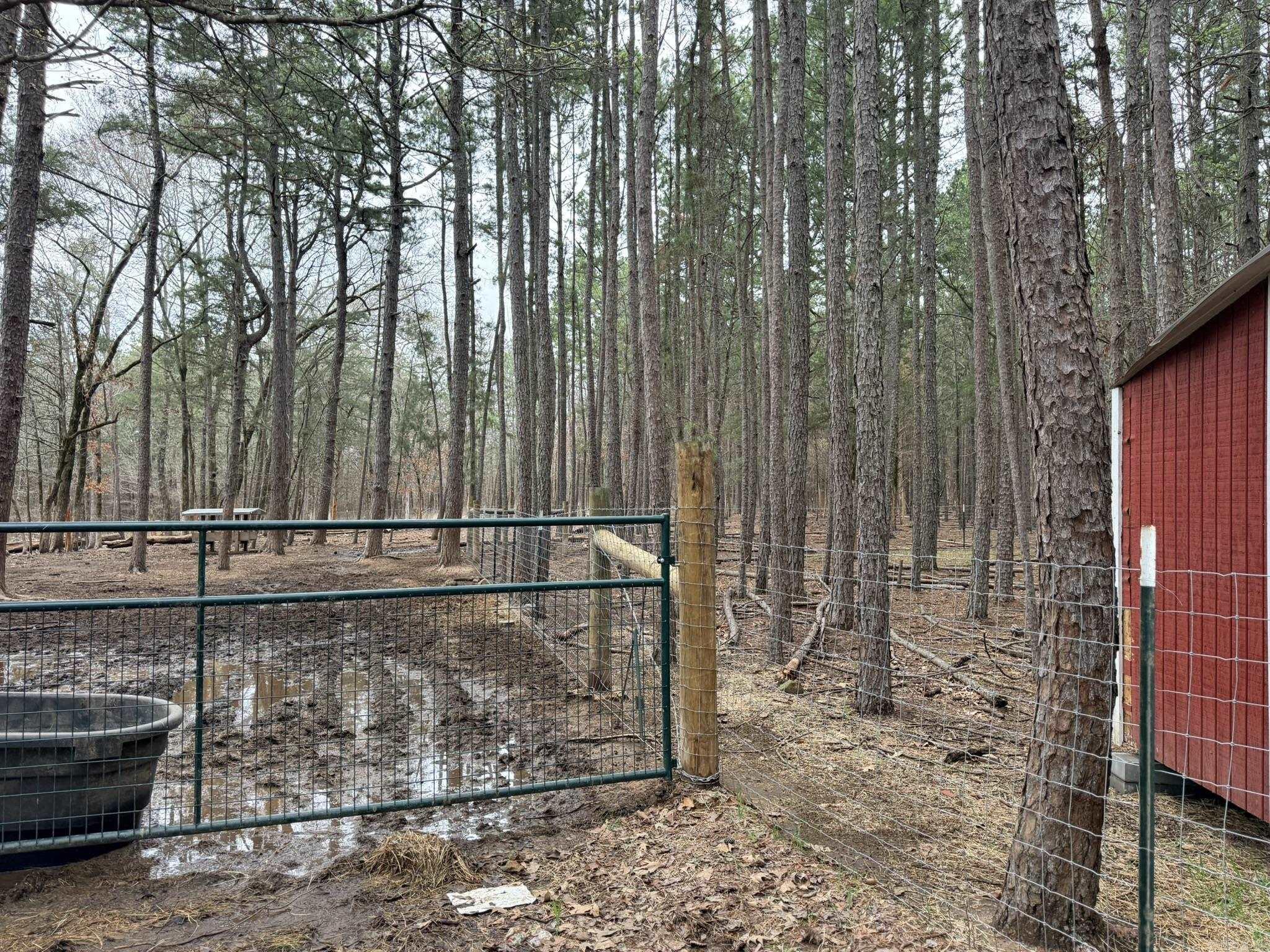 121 Neva Lane  Pine Ridge, AR