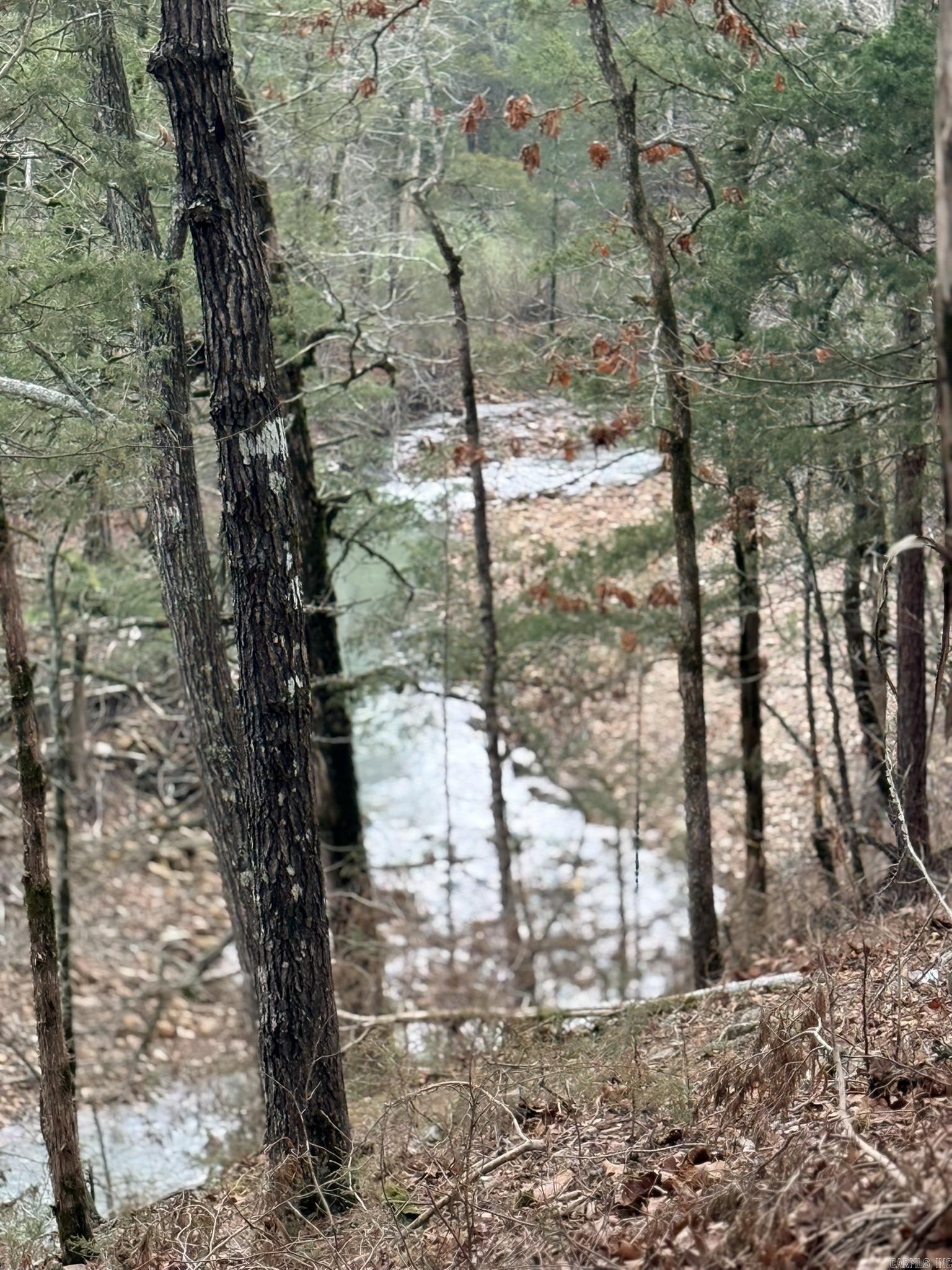 121 Neva Lane  Pine Ridge, AR