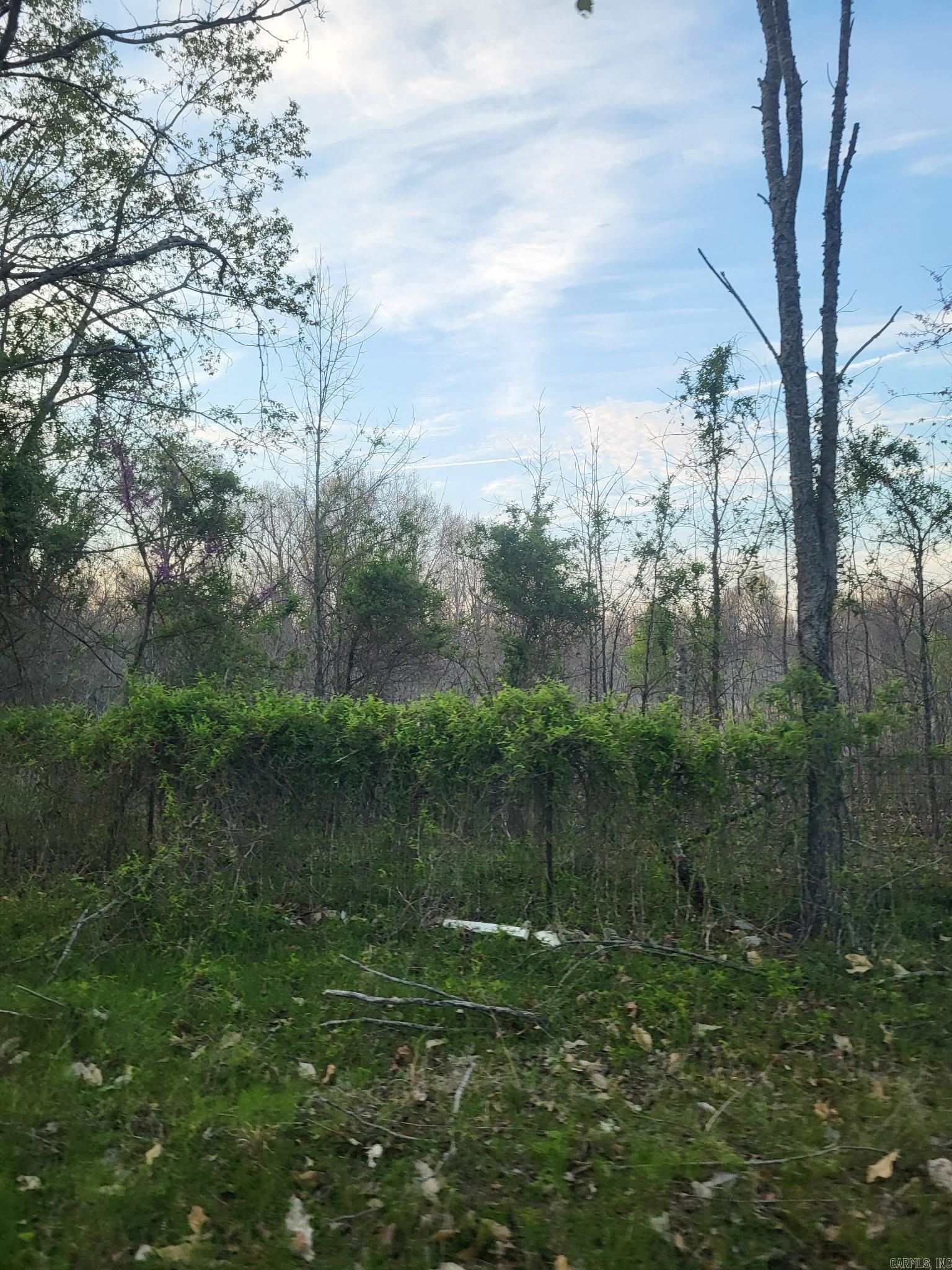 6475 Highway 67  Corning, AR