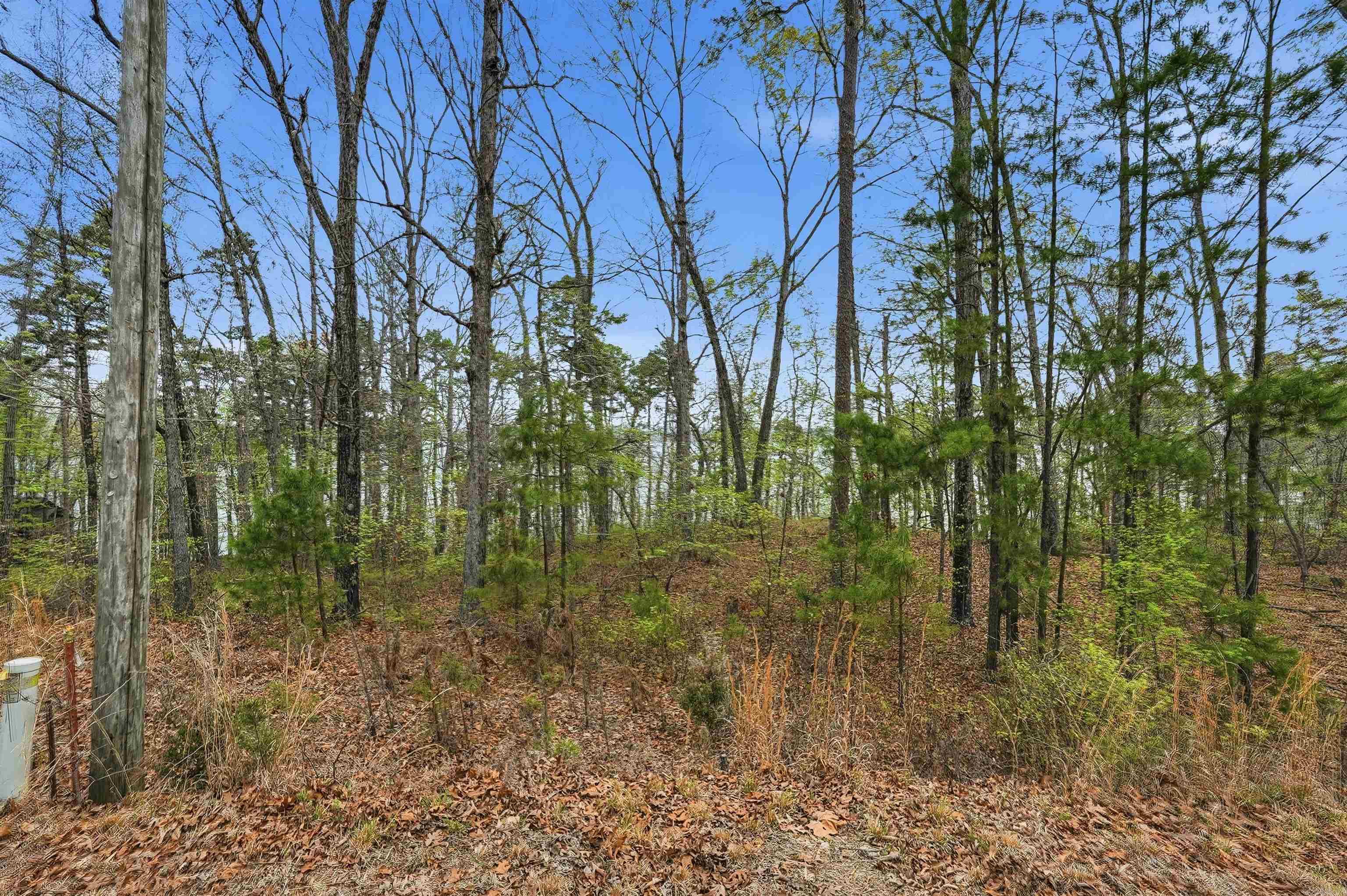 120 Lakefront  Quitman, AR