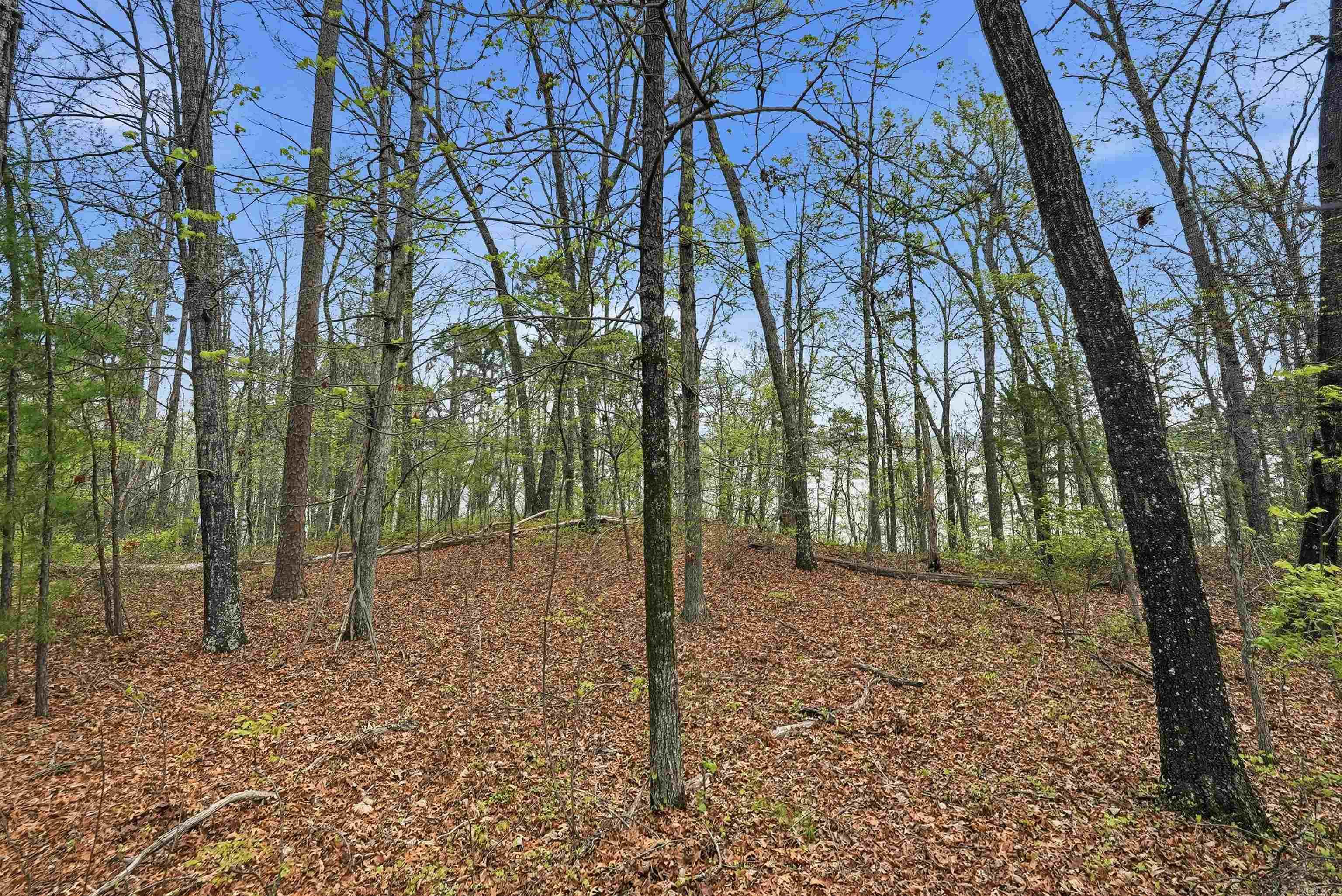 120 Lakefront  Quitman, AR