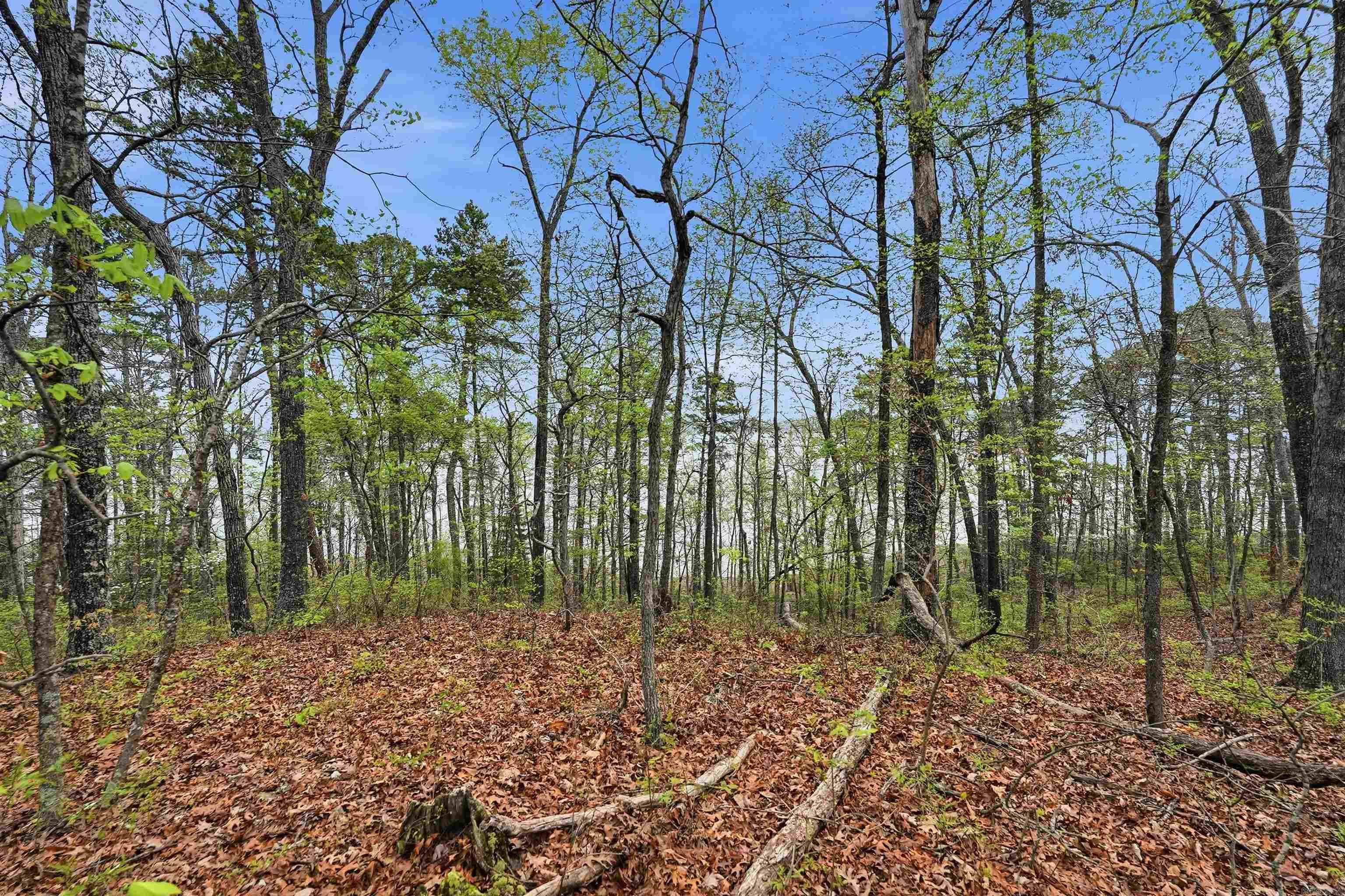 120 Lakefront  Quitman, AR