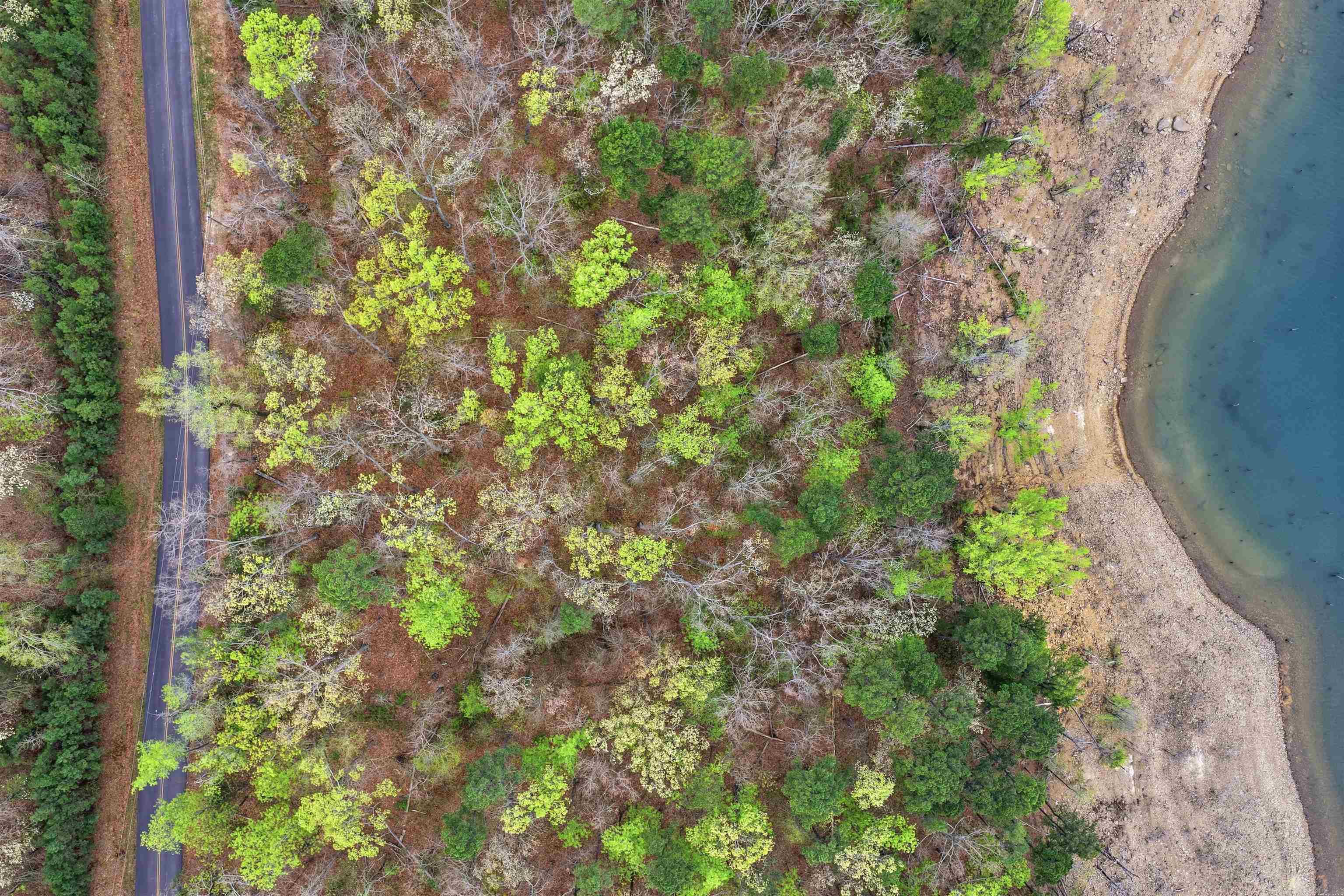 120 Lakefront  Quitman, AR