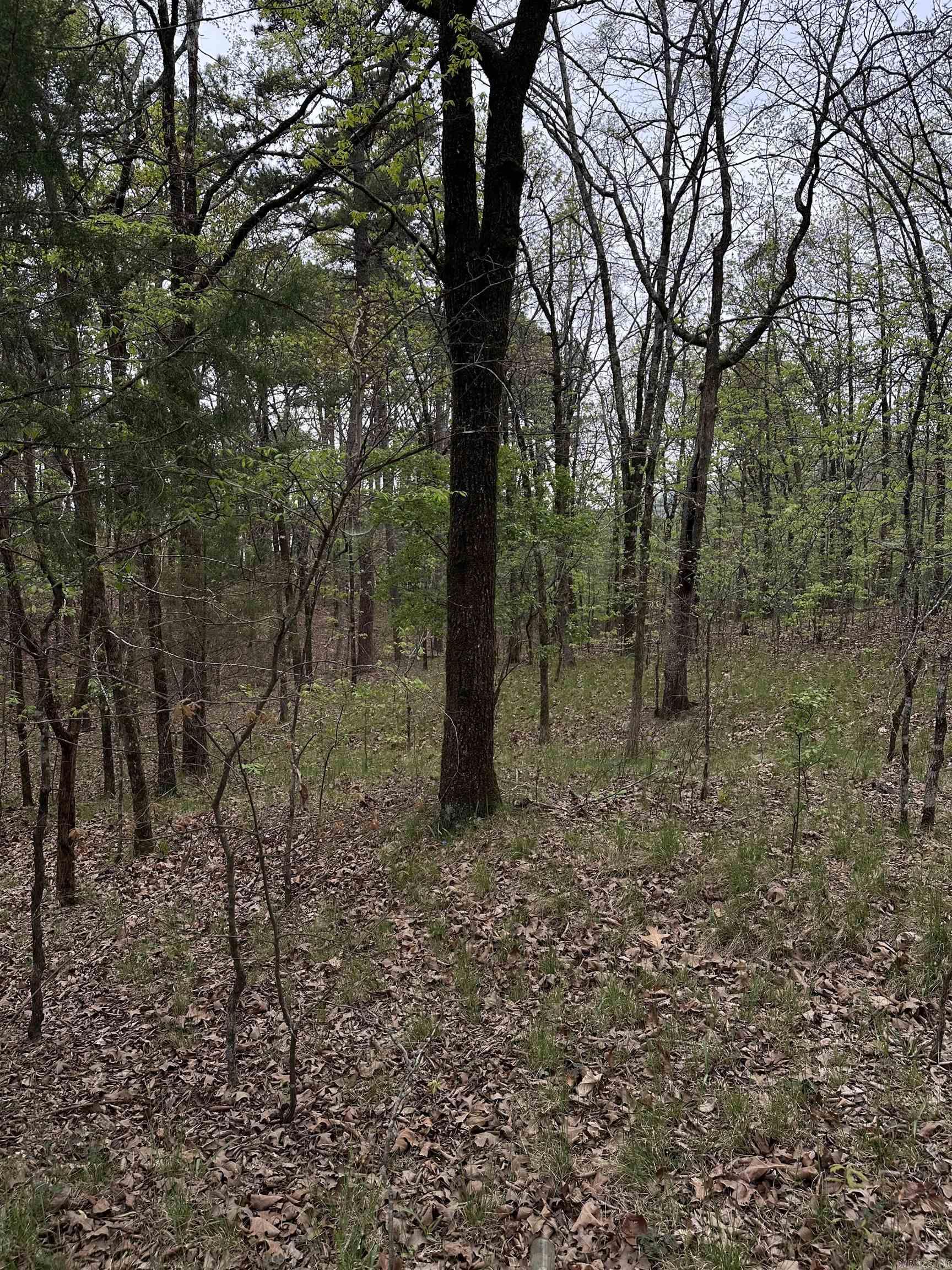 0 Julian  Hot Springs, AR