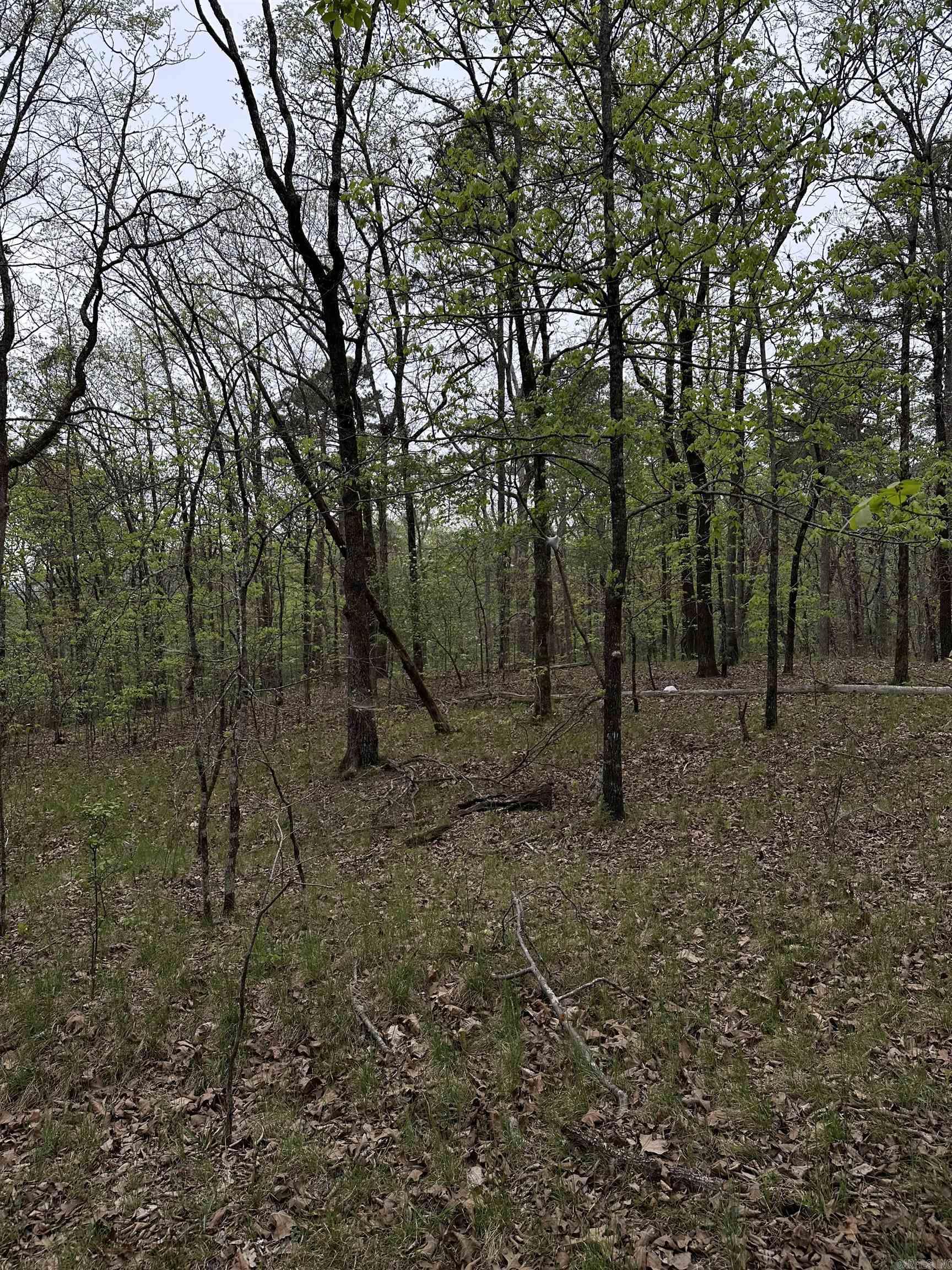 0 Julian  Hot Springs, AR