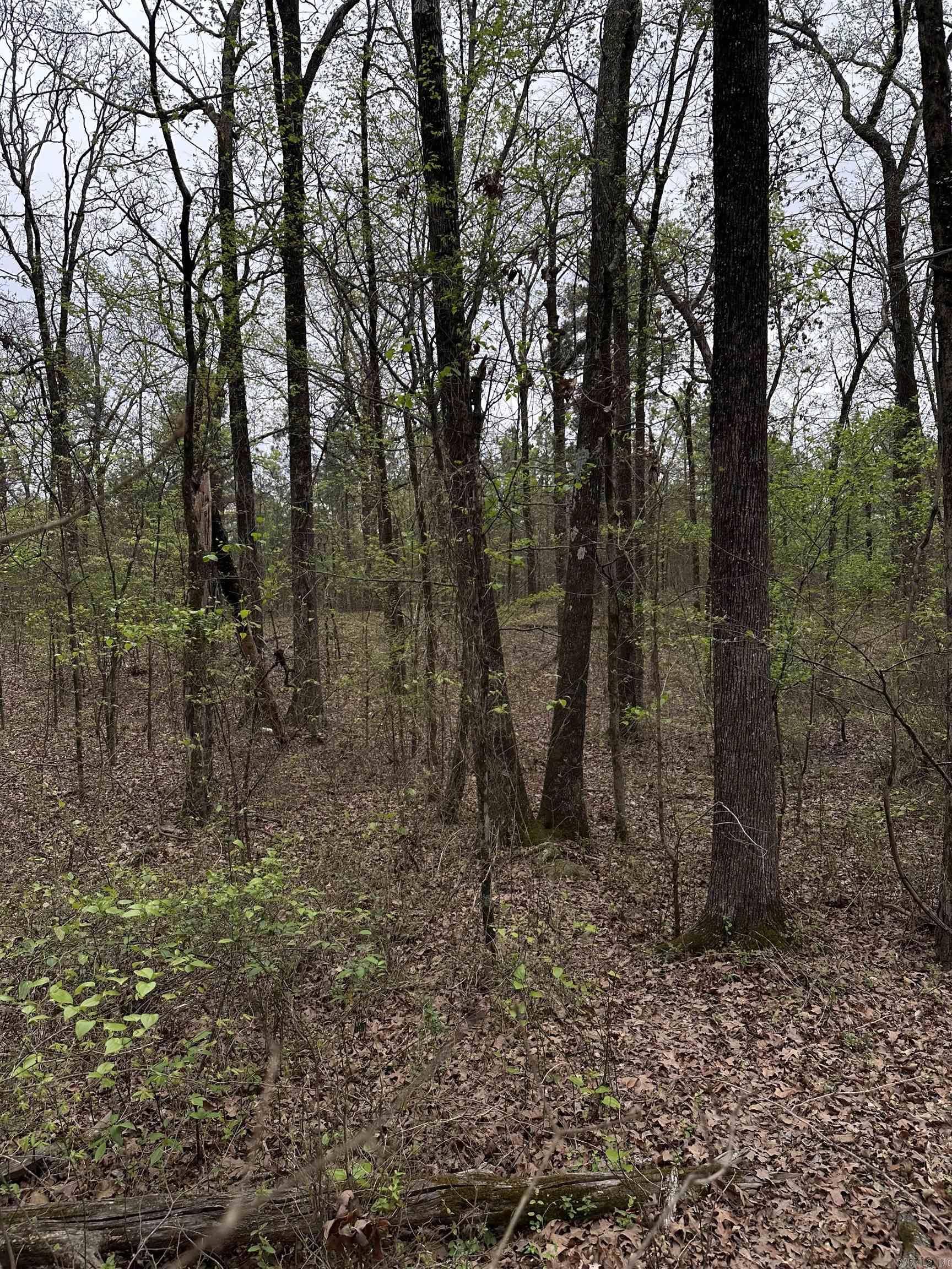 0 Julian  Hot Springs, AR