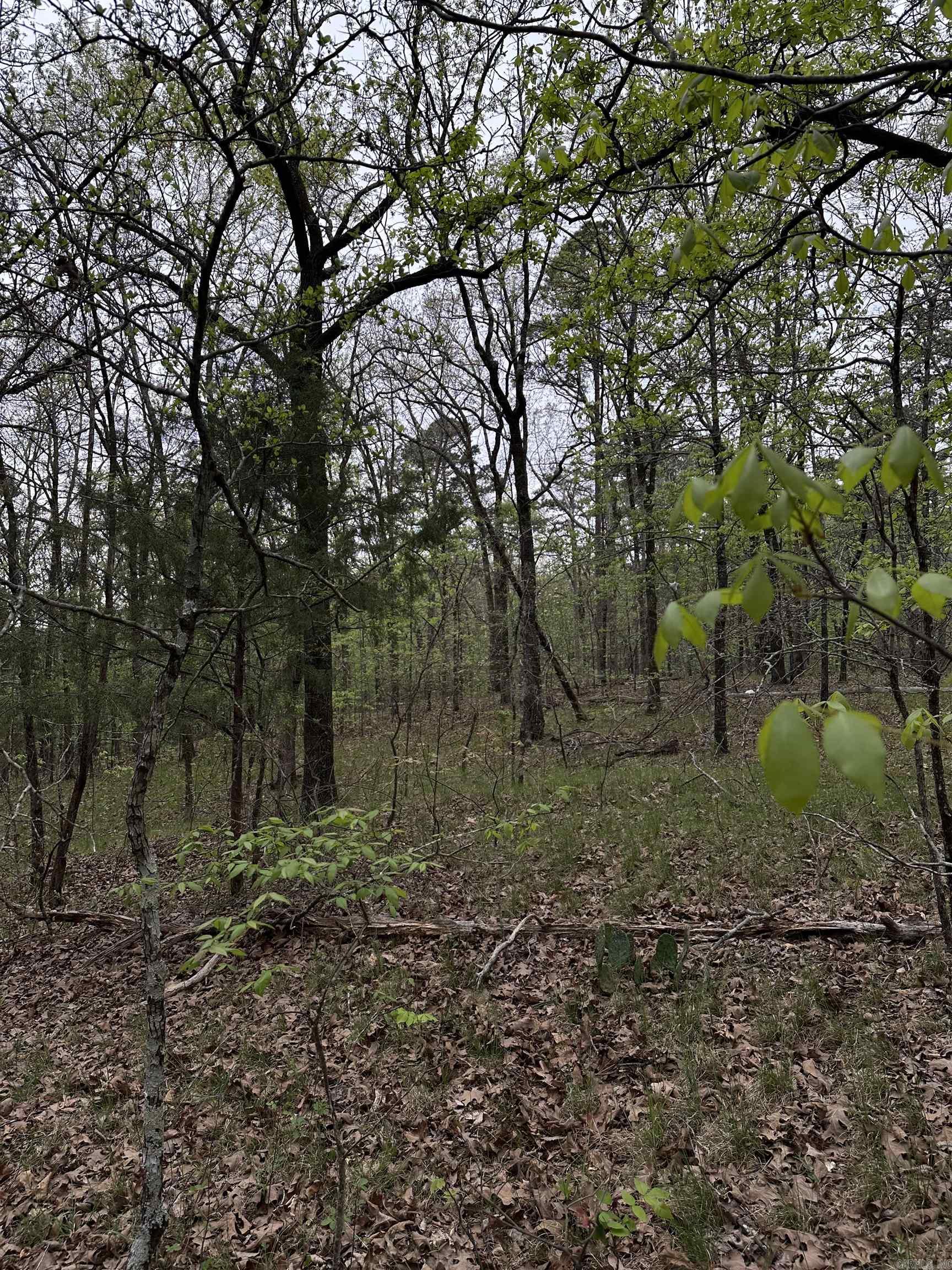 0 Julian  Hot Springs, AR