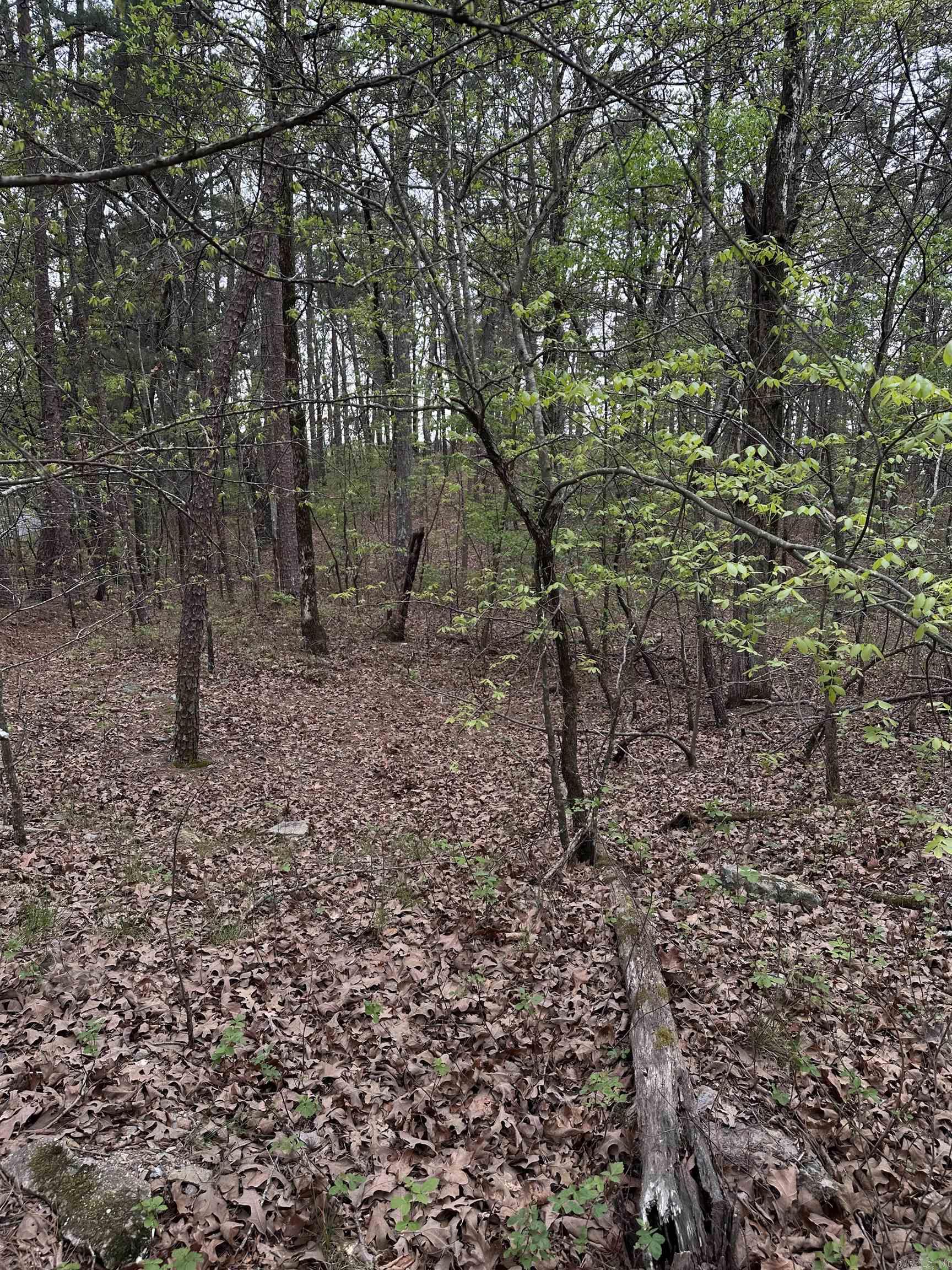 0 Julian  Hot Springs, AR