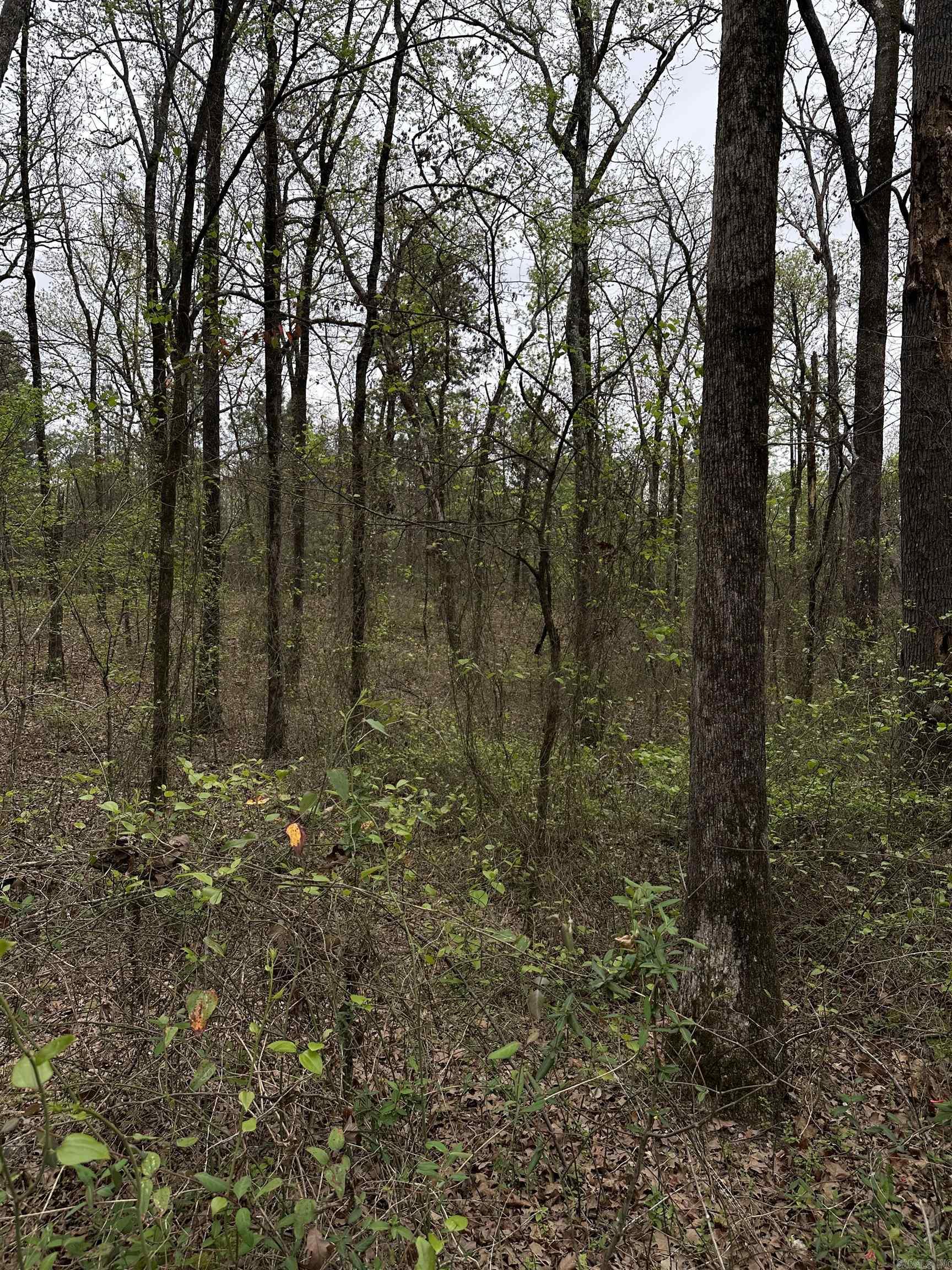 0 Julian  Hot Springs, AR