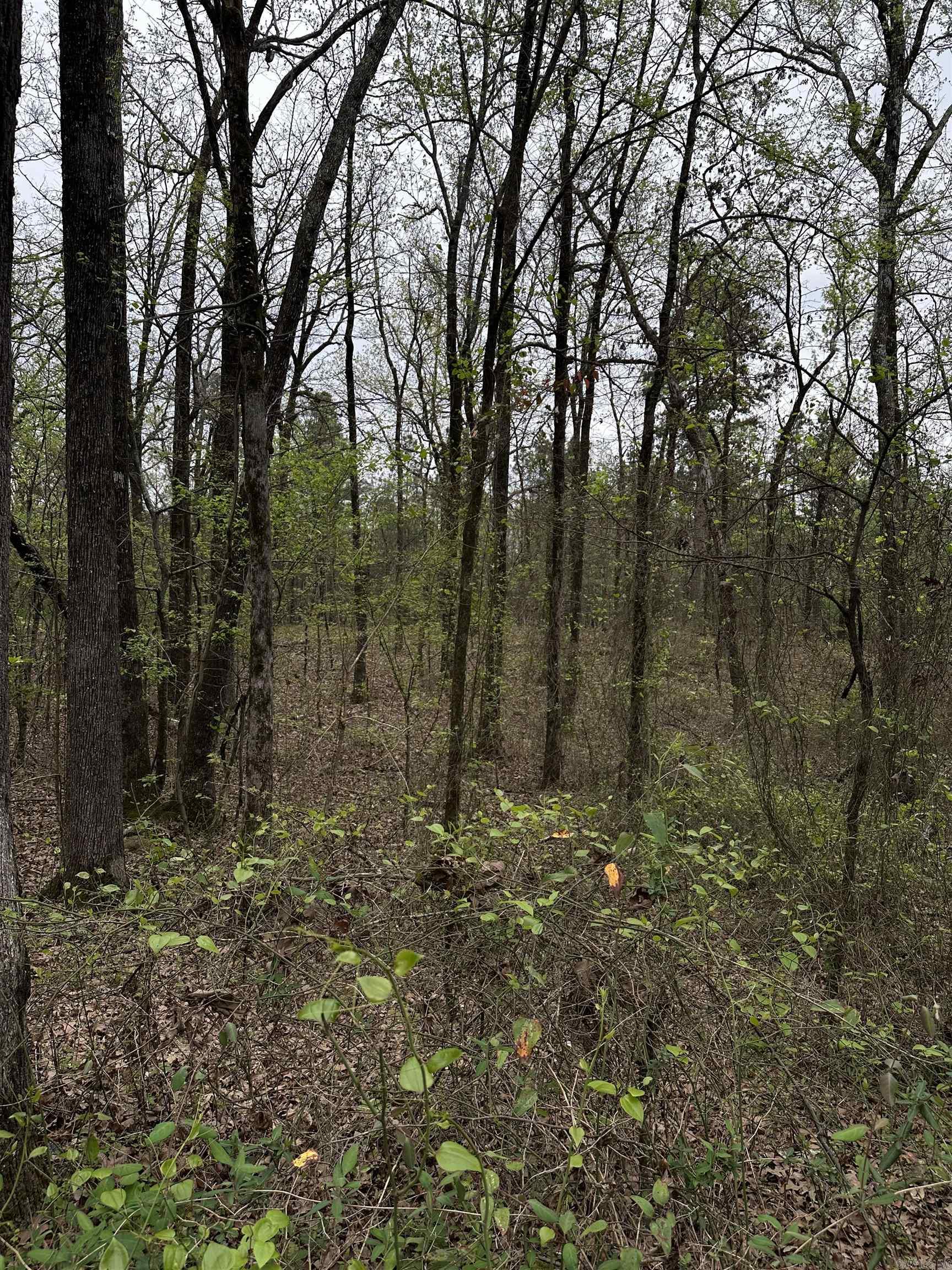 0 Julian  Hot Springs, AR