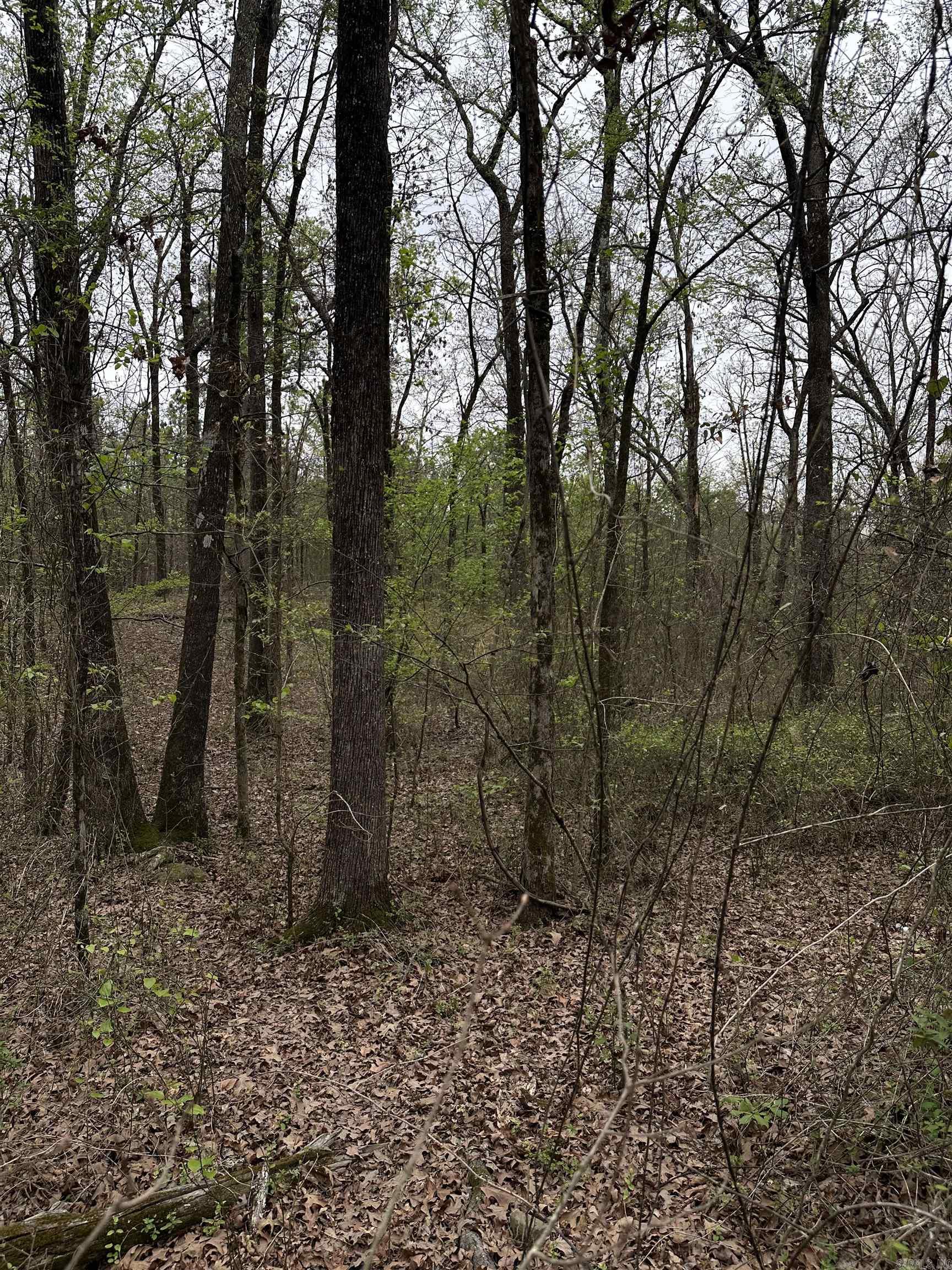 0 Julian  Hot Springs, AR