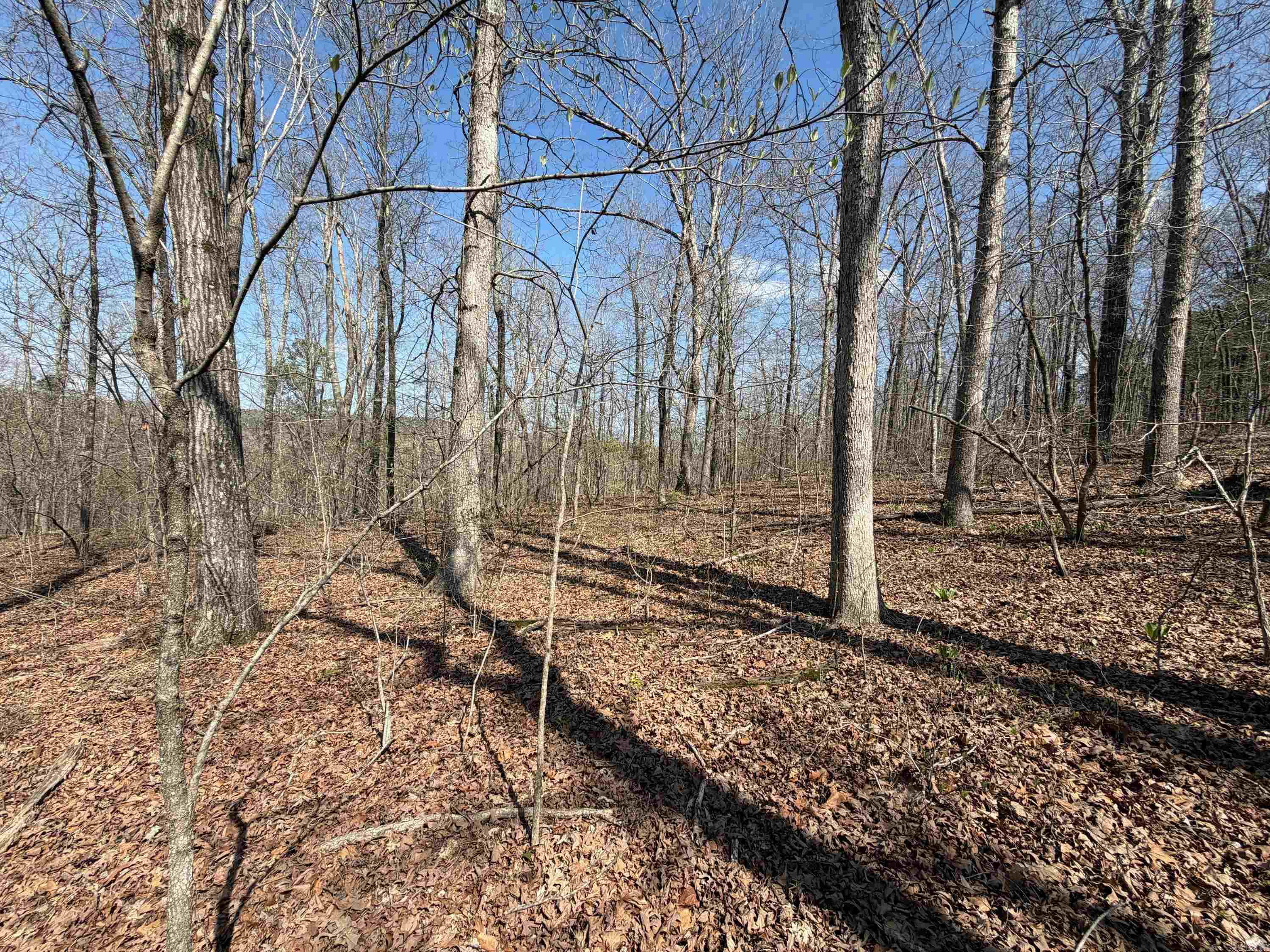 7473 Meadow Creek Rd  Fox, AR