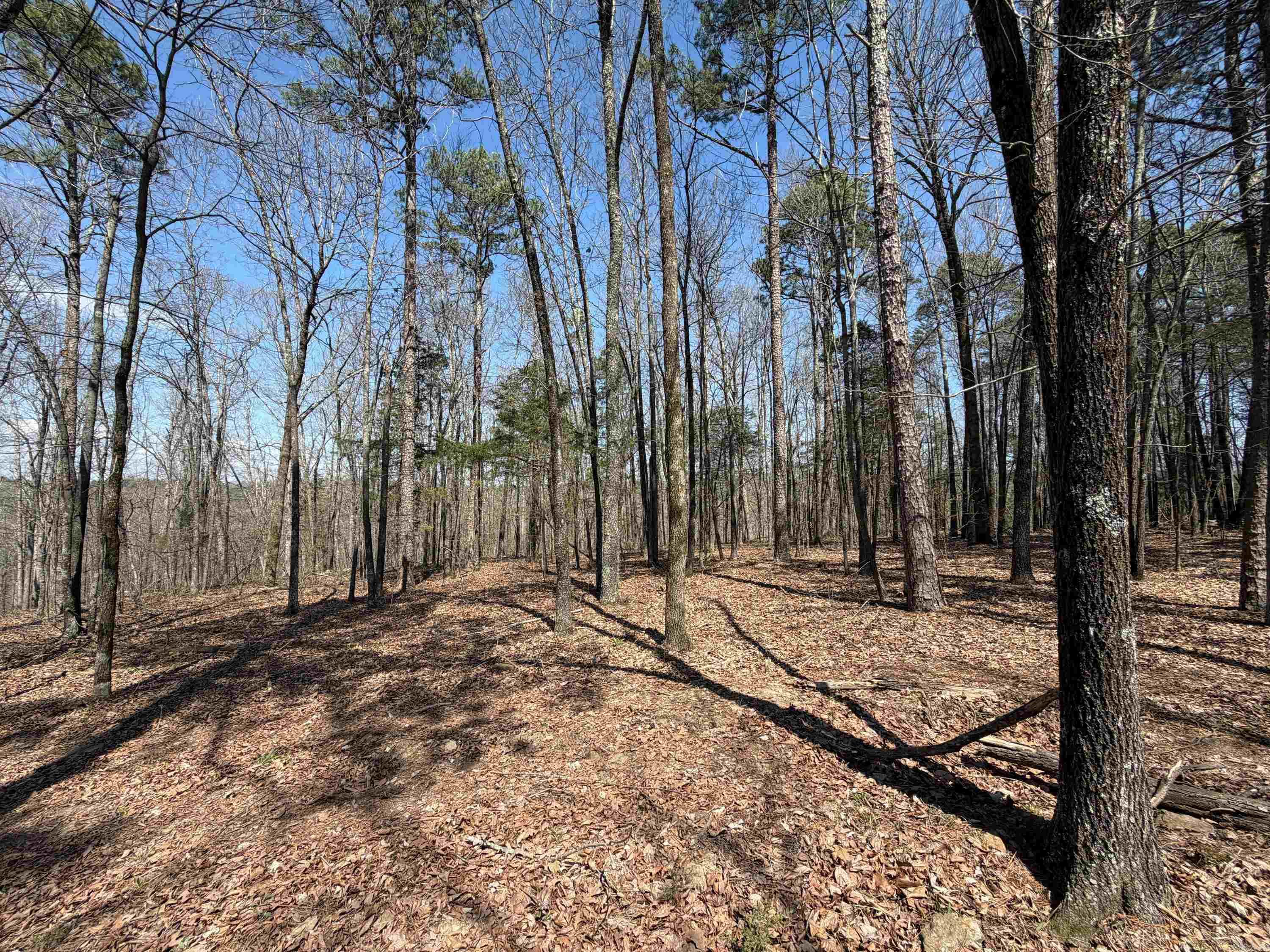 7473 Meadow Creek Rd  Fox, AR