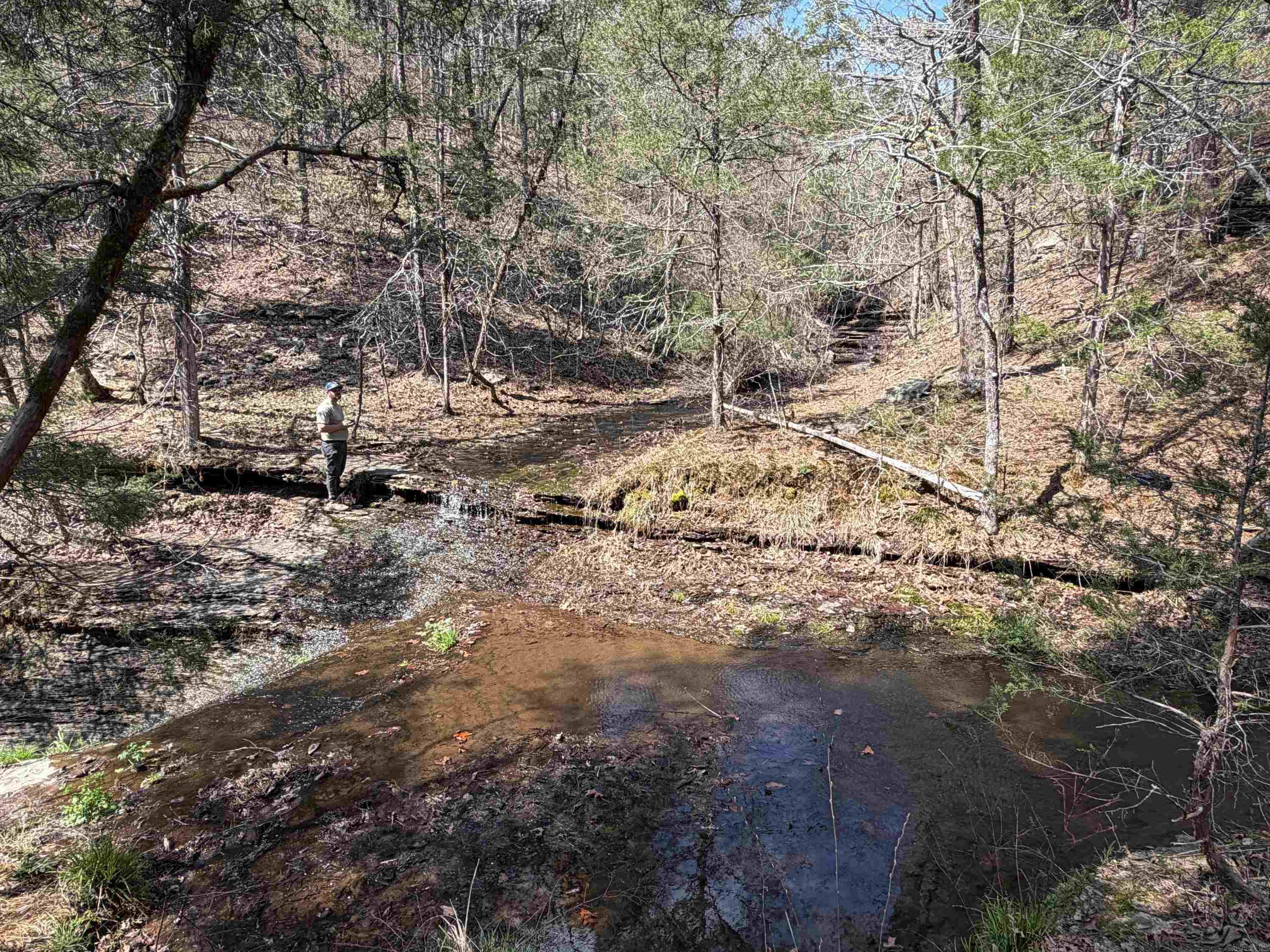 7473 Meadow Creek Rd  Fox, AR