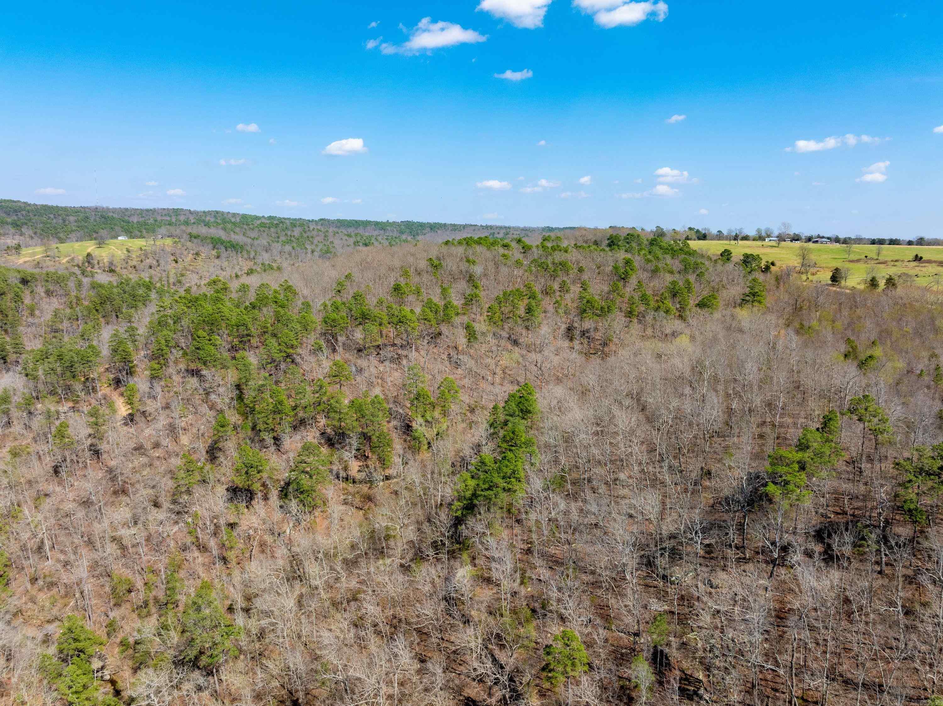 7473 Meadow Creek Rd  Fox, AR