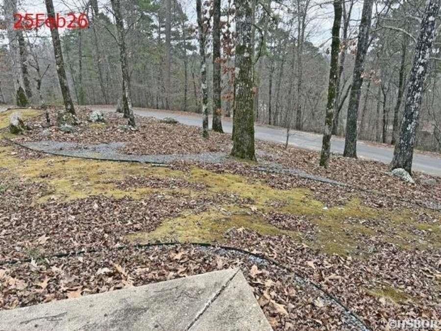 21 Delavega Circle  Hot Springs Village, AR