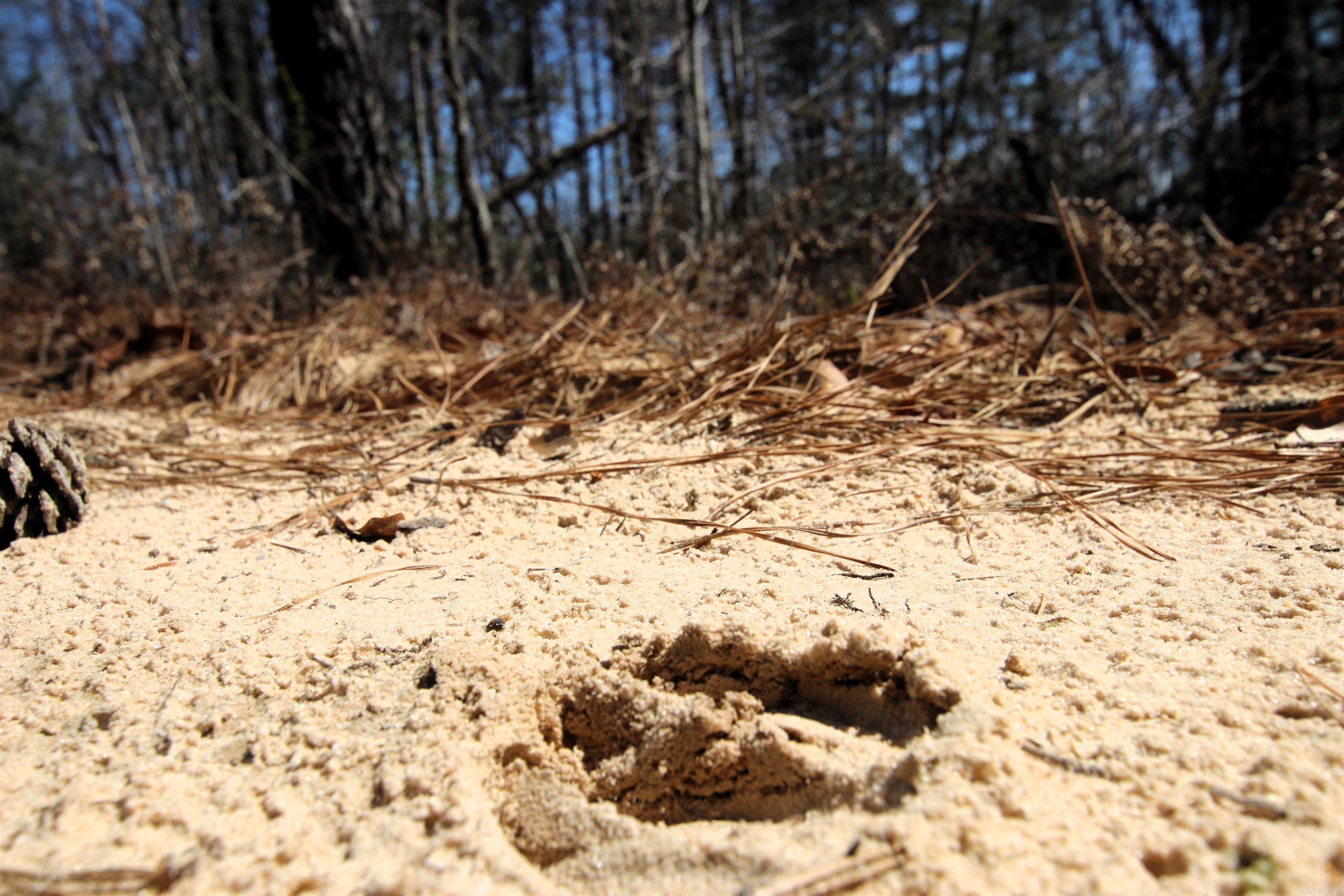 17133 Thompson Farm  Alexander, AR