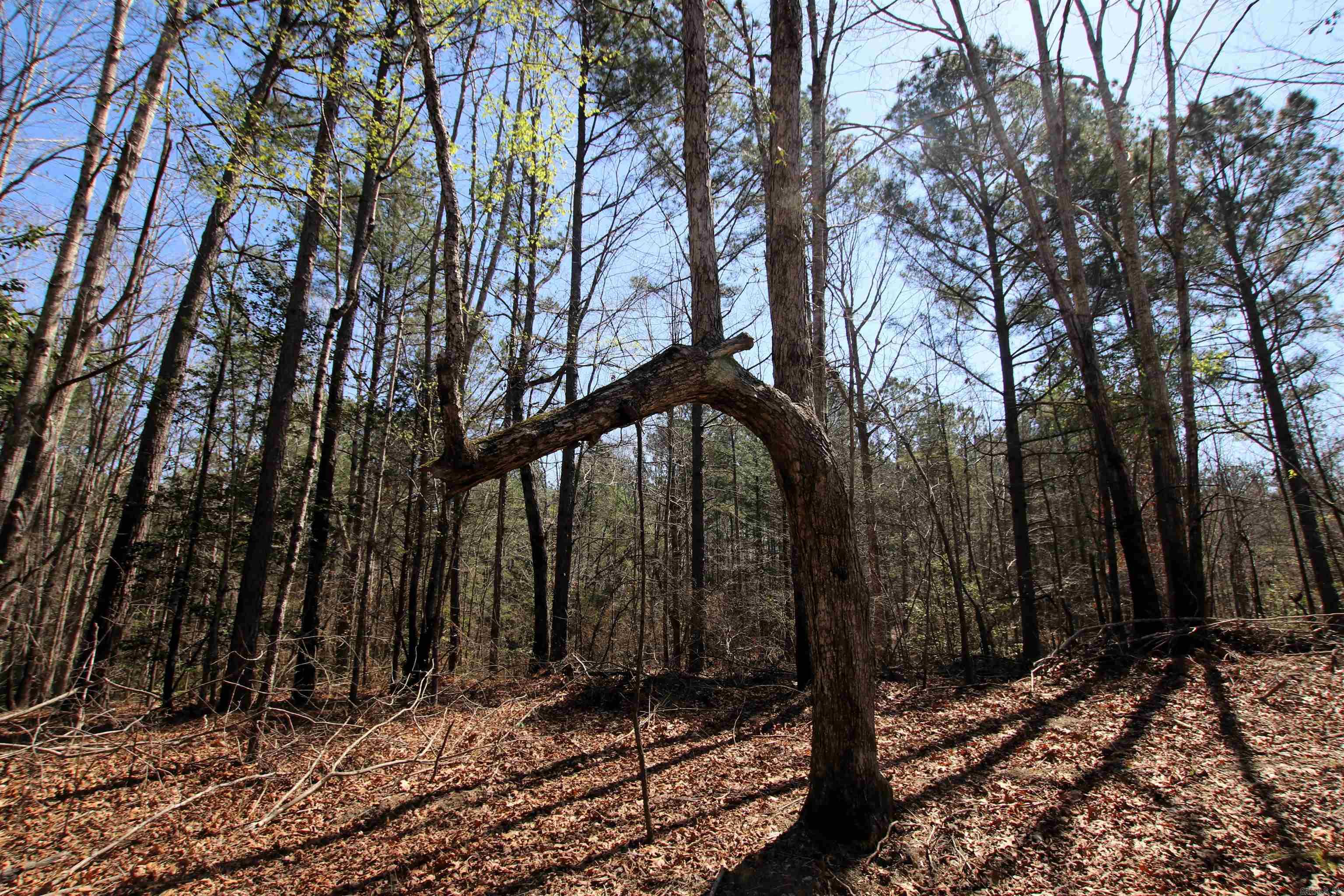 17133 Thompson Farm  Alexander, AR