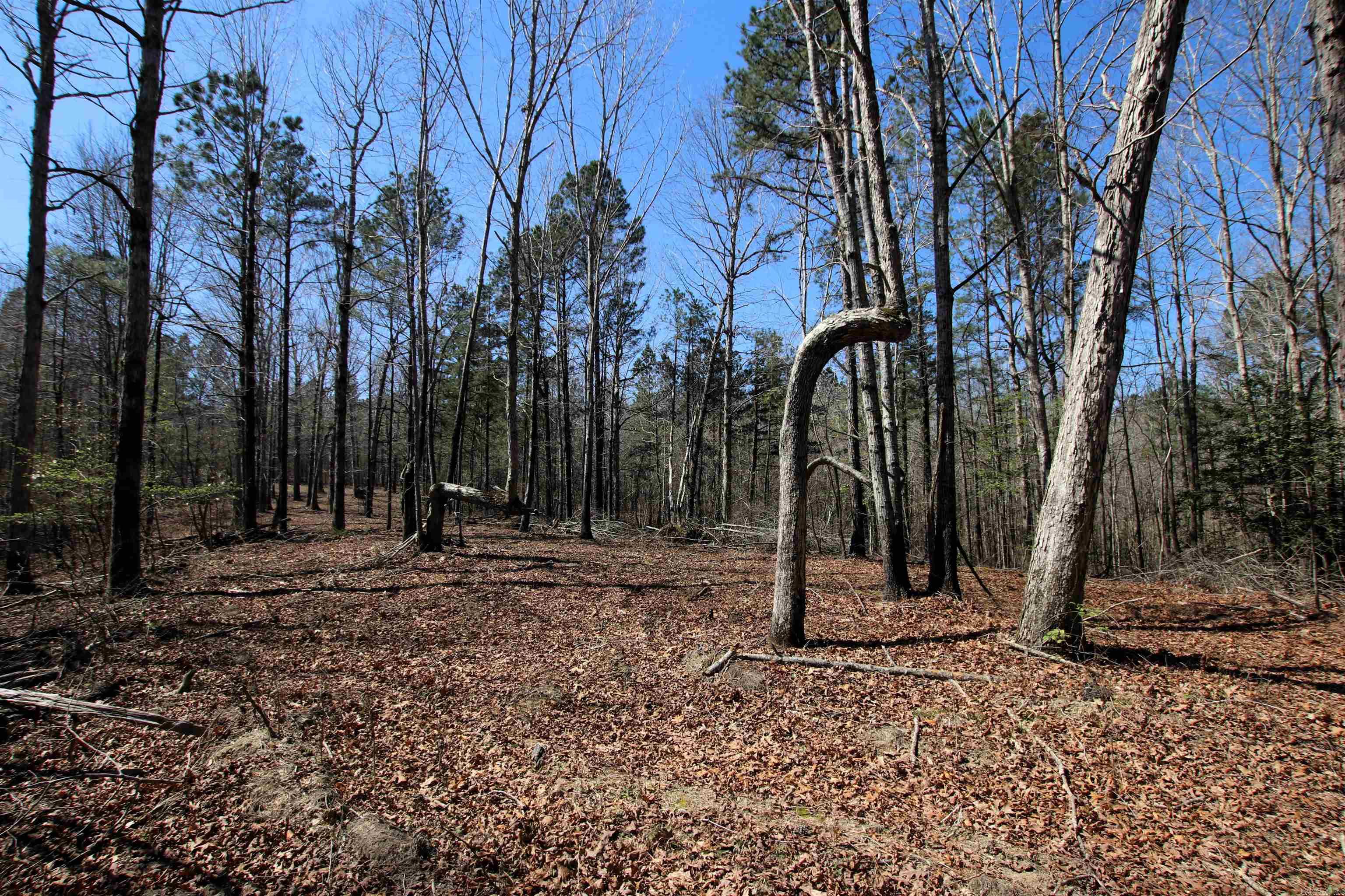 17133 Thompson Farm  Alexander, AR