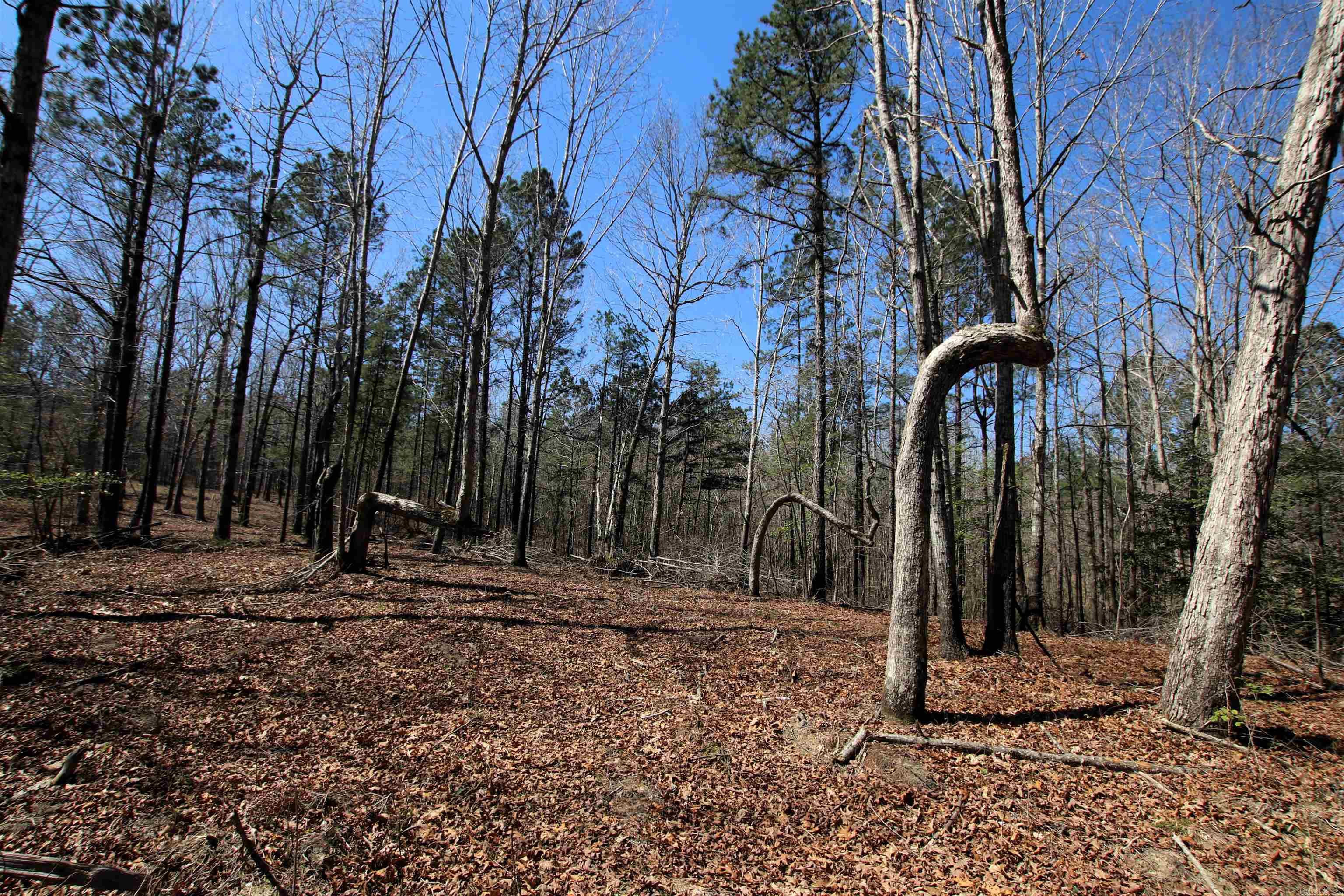 17133 Thompson Farm  Alexander, AR