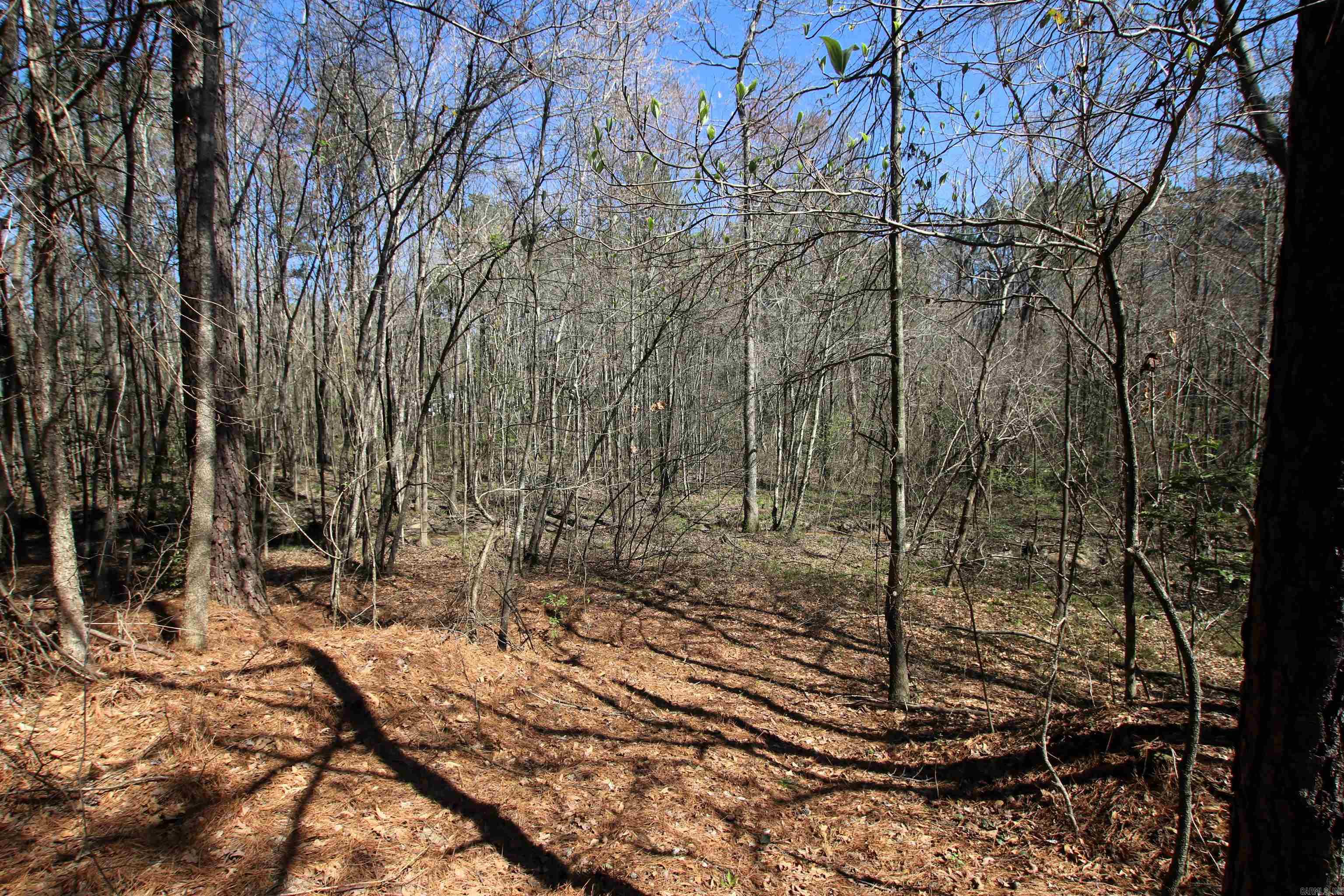 17133 Thompson Farm  Alexander, AR