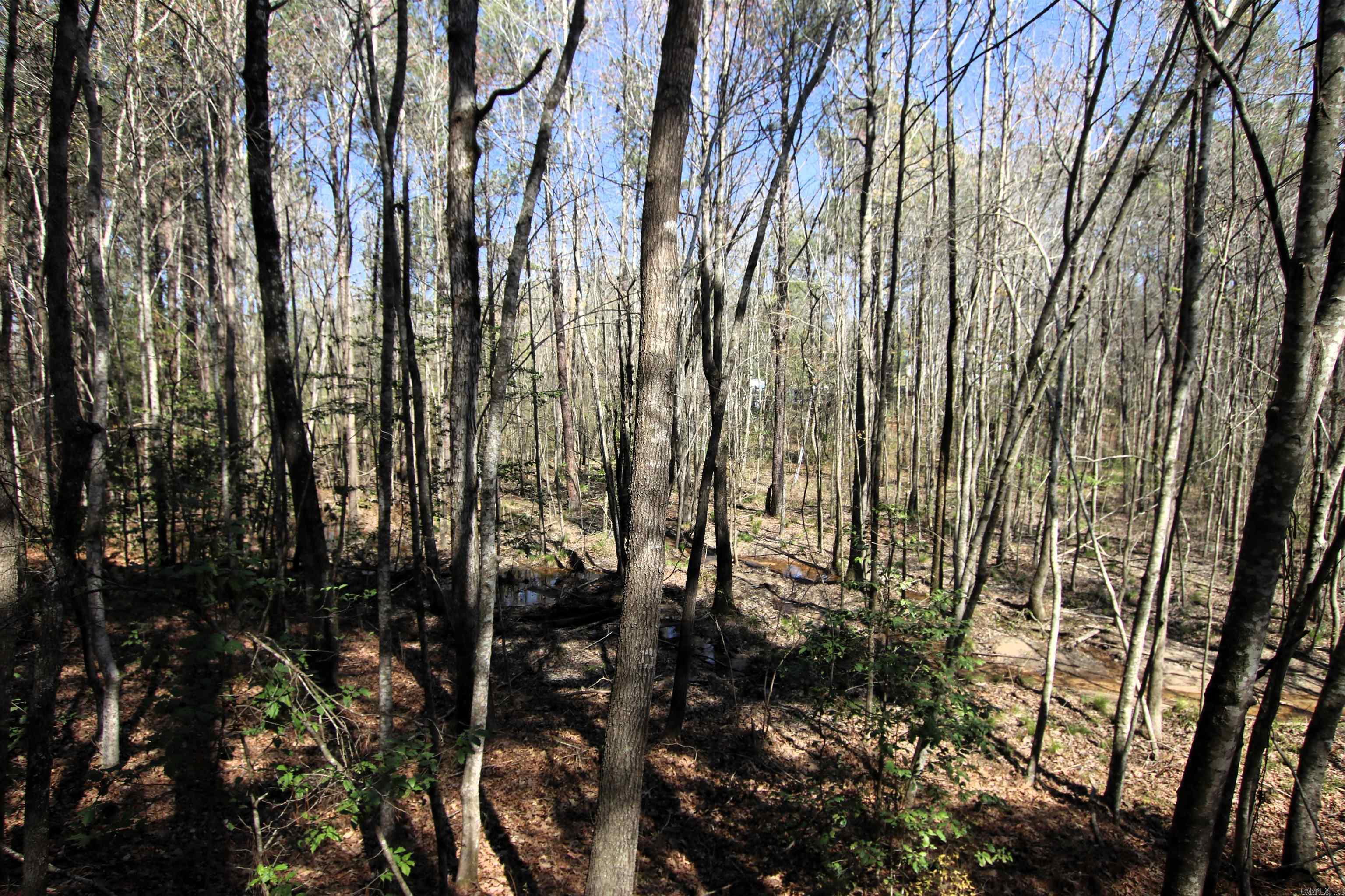 17133 Thompson Farm  Alexander, AR