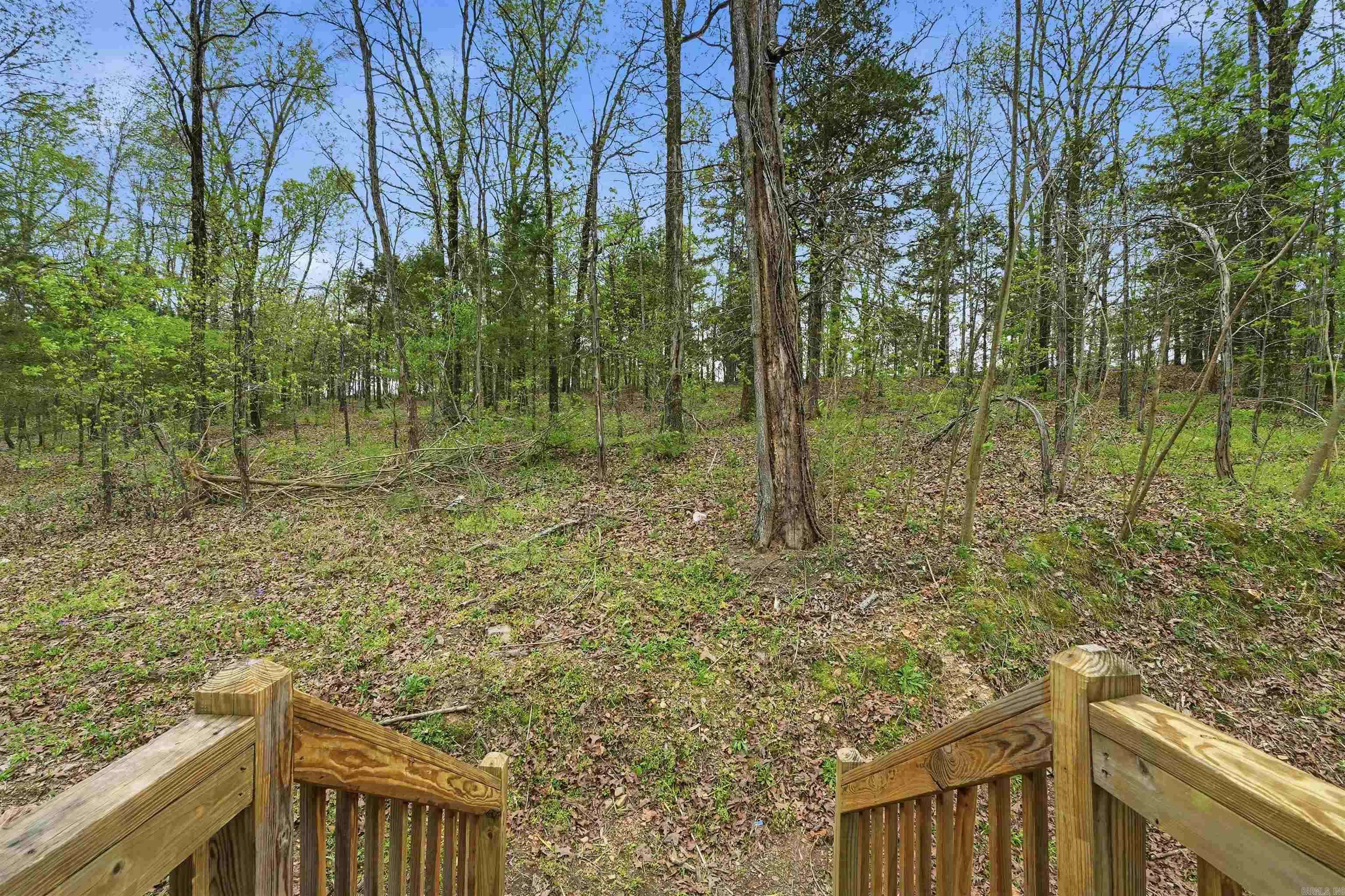 12 Ridge  Mayflower, AR