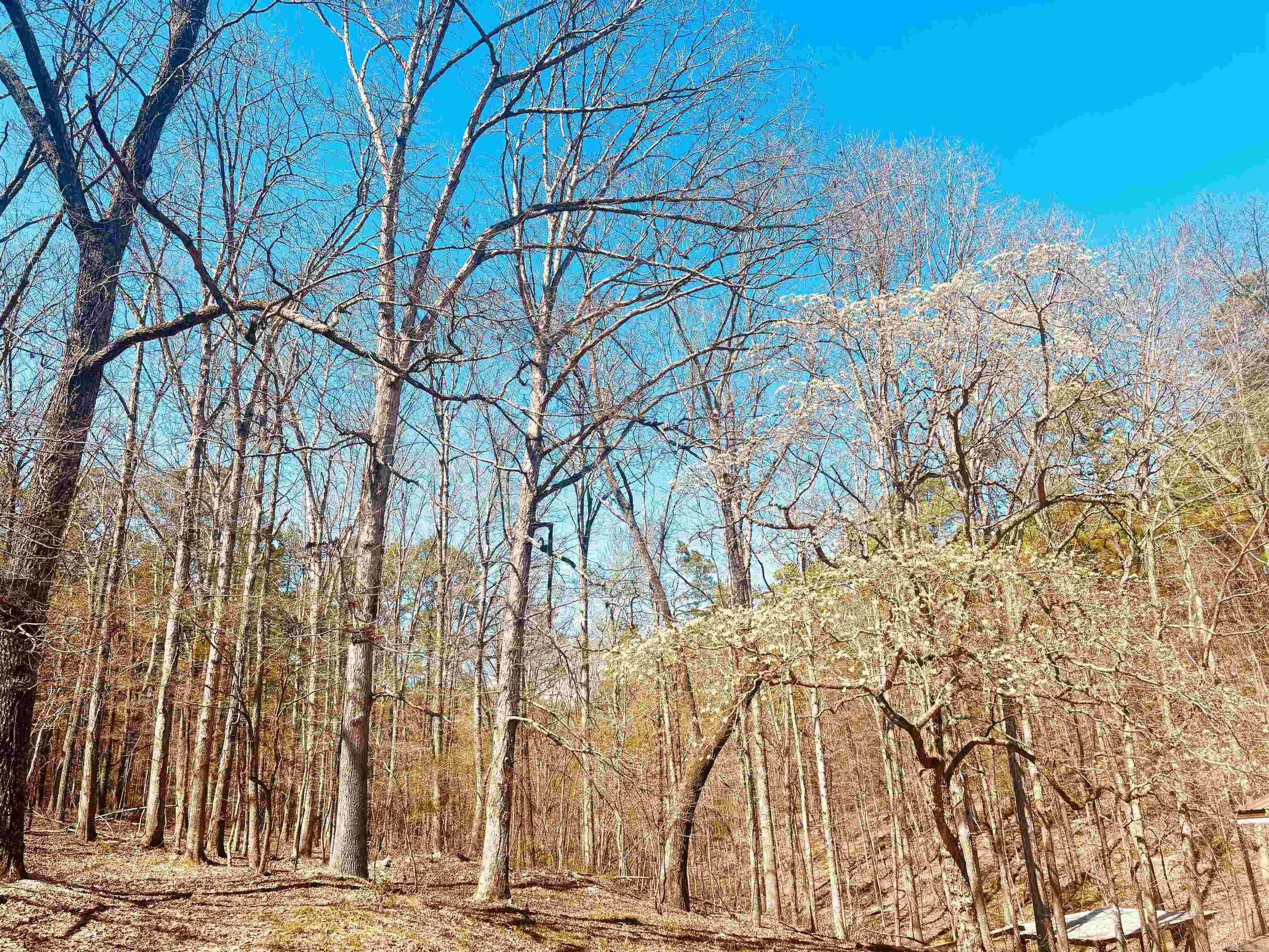 6683 Roasting Ear  Fifty-Six, AR