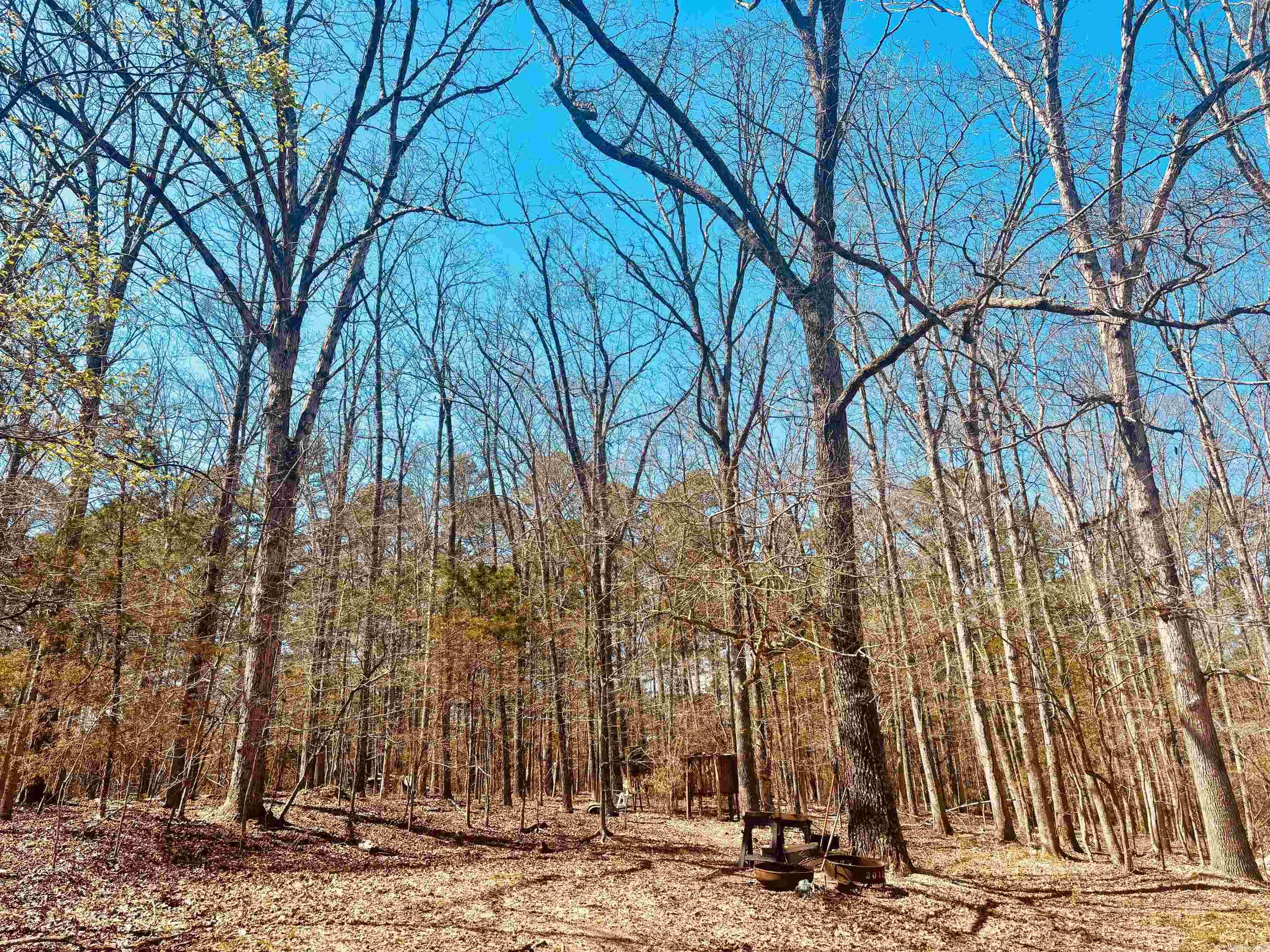 6683 Roasting Ear  Fifty-Six, AR