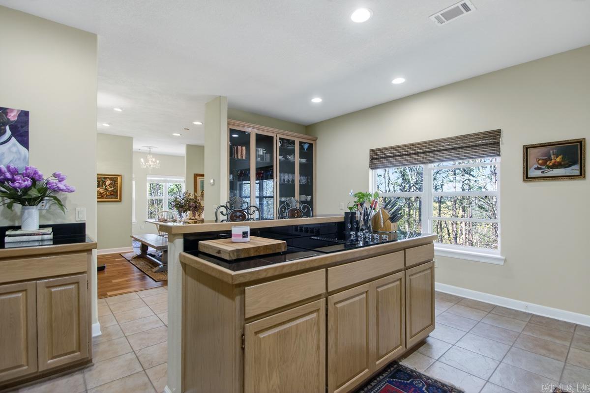 87 Montanoso Way  Hot Springs Village, AR