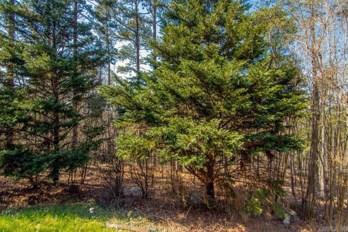 87 Montanoso Way  Hot Springs Village, AR