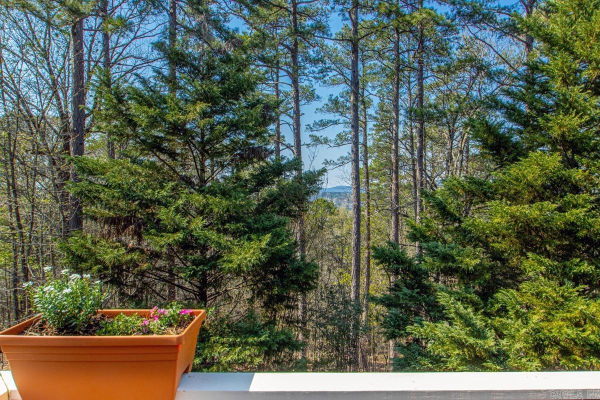 87 Montanoso Way  Hot Springs Village, AR