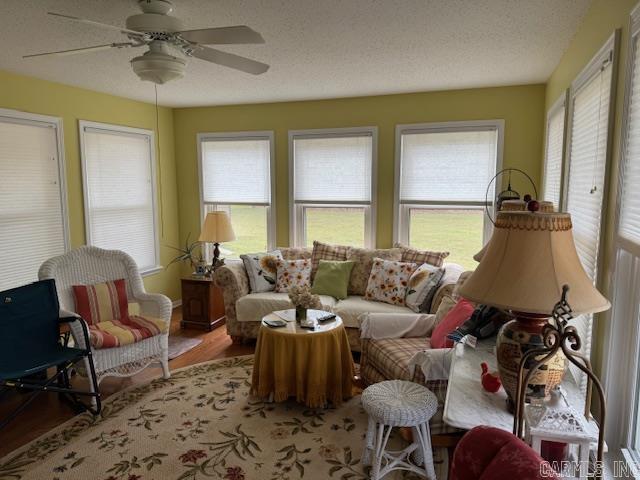 90 Frontier  Pocahontas, AR