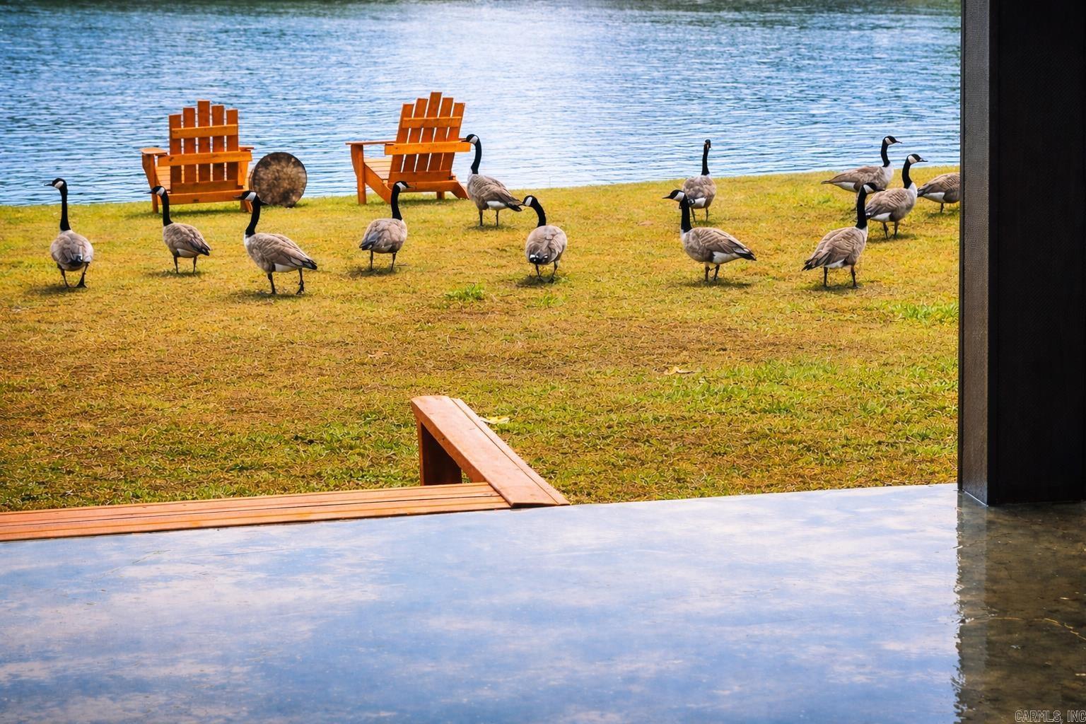 170 Eagles  Bismarck, AR