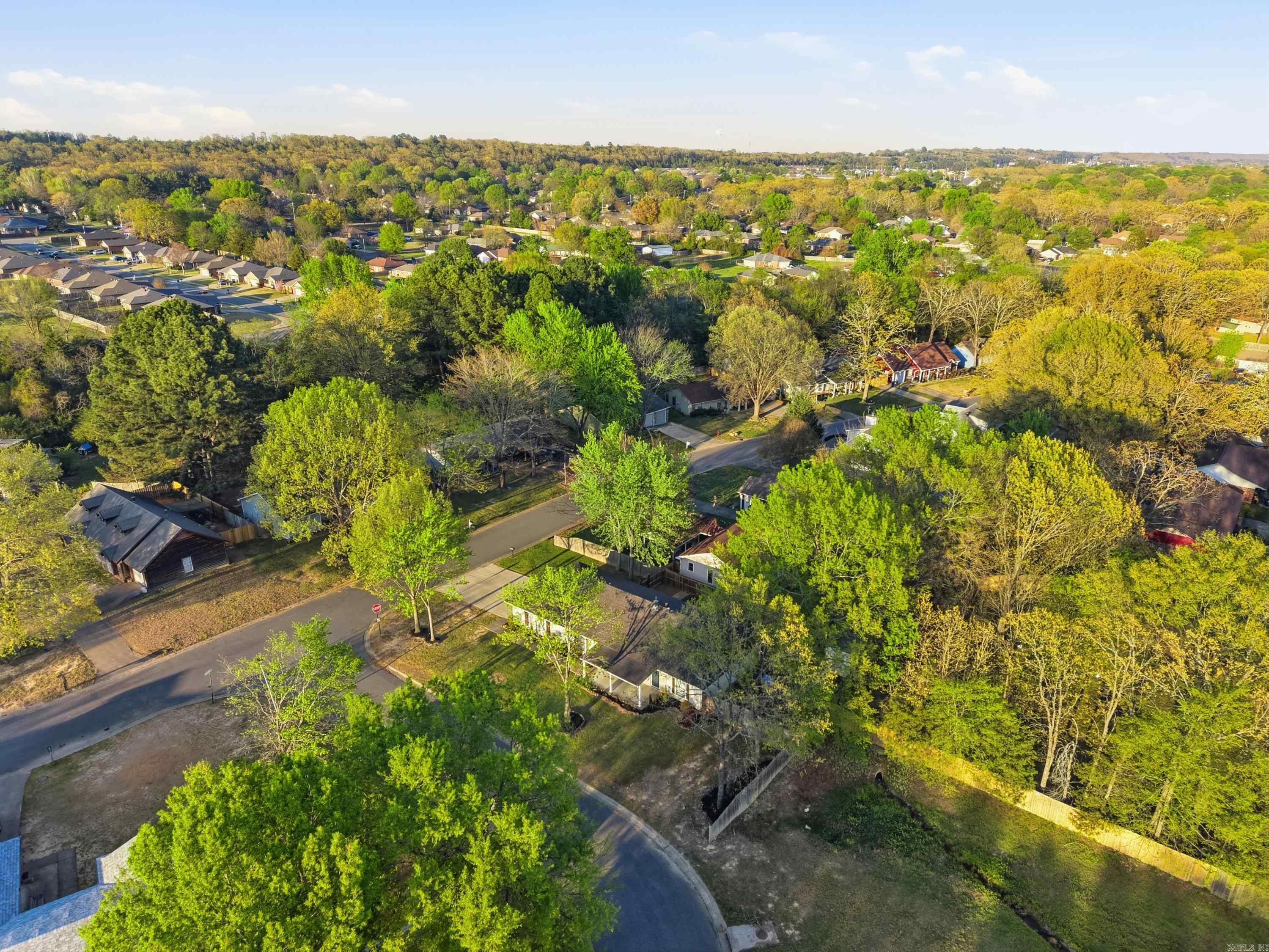 19 Rosanne Dr Conway, AR 72034