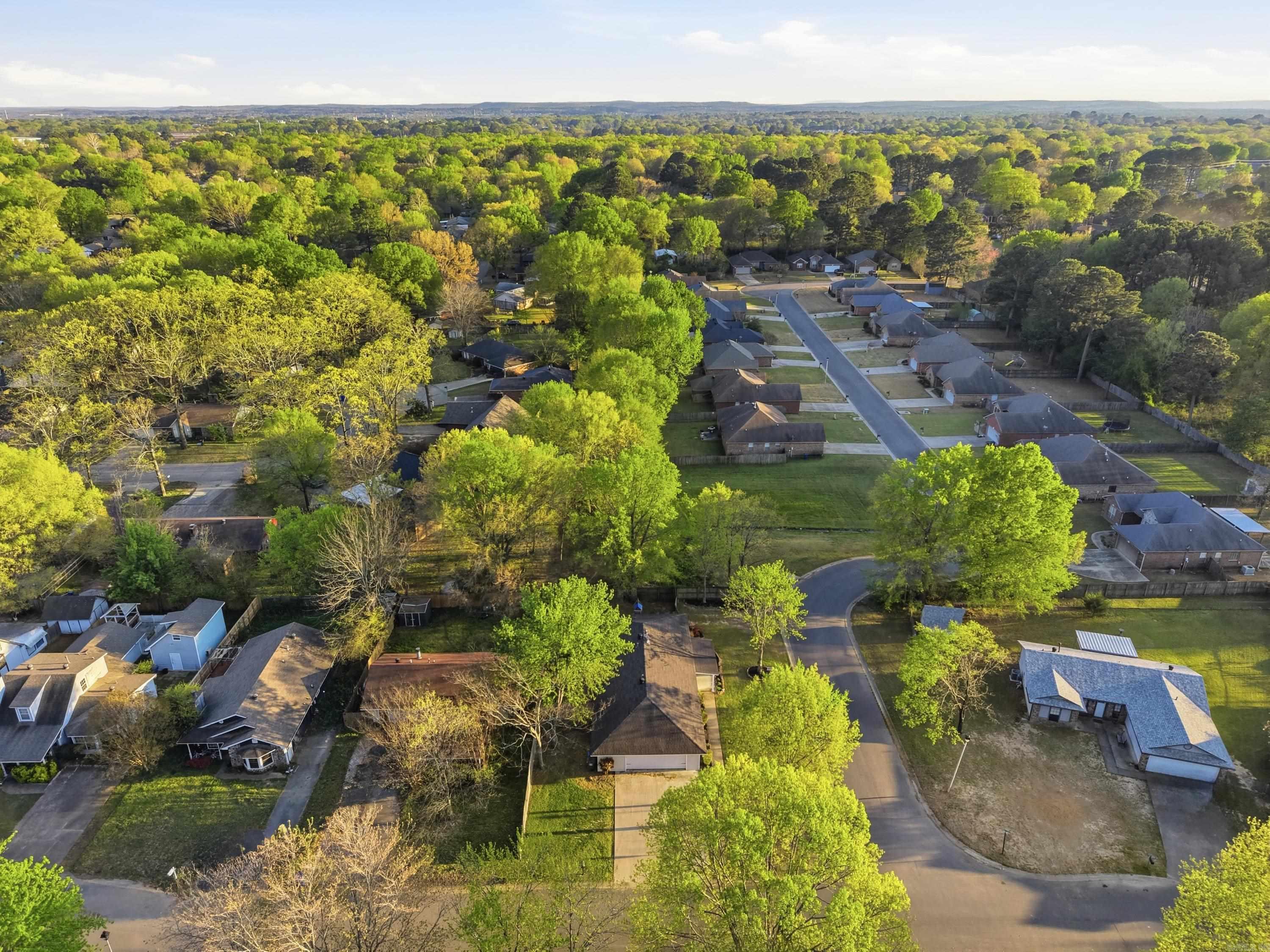 19 Rosanne Dr Conway, AR 72034