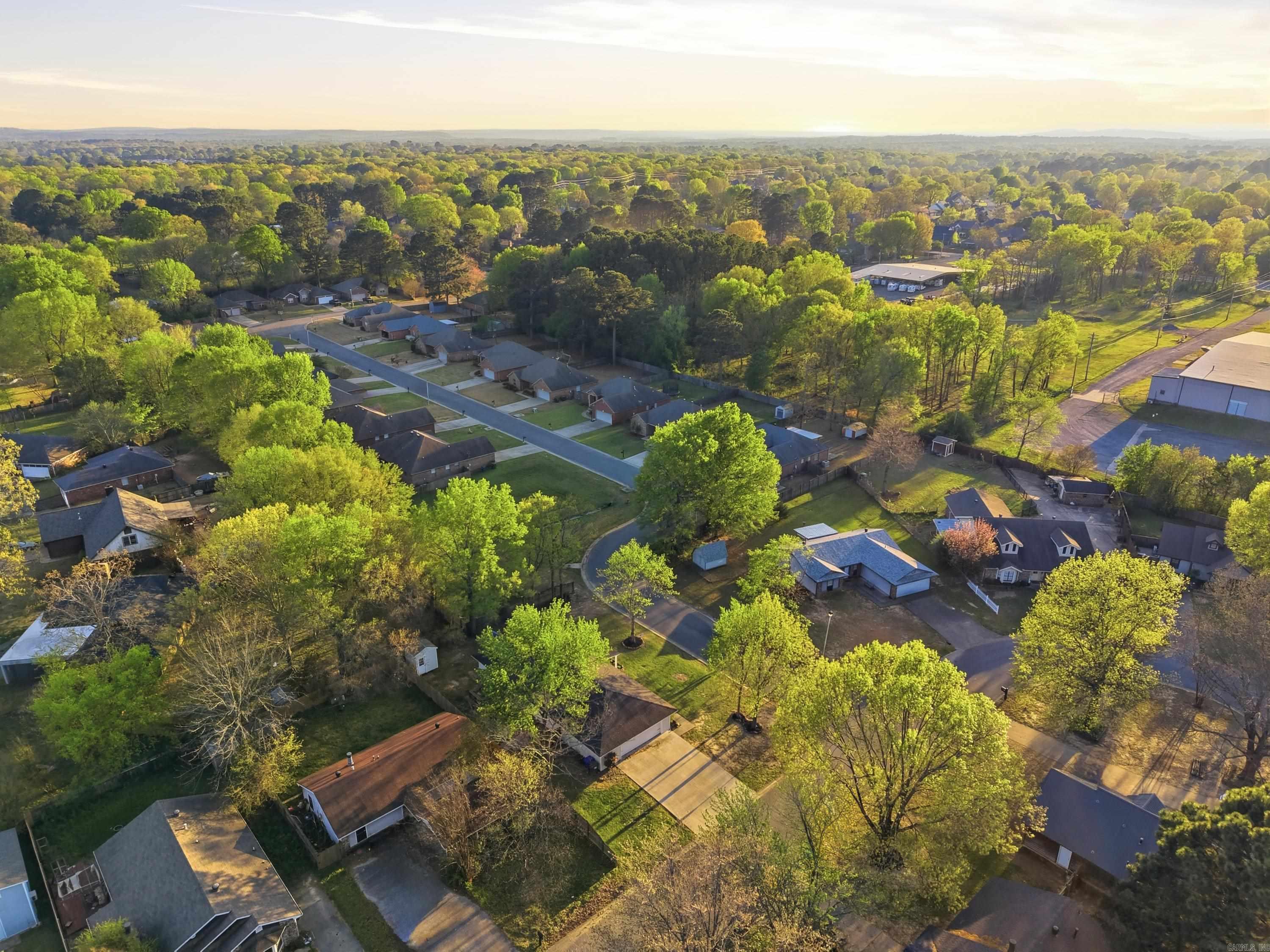 19 Rosanne Dr Conway, AR 72034