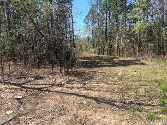 114 Coyote Canyon  Shirley, AR